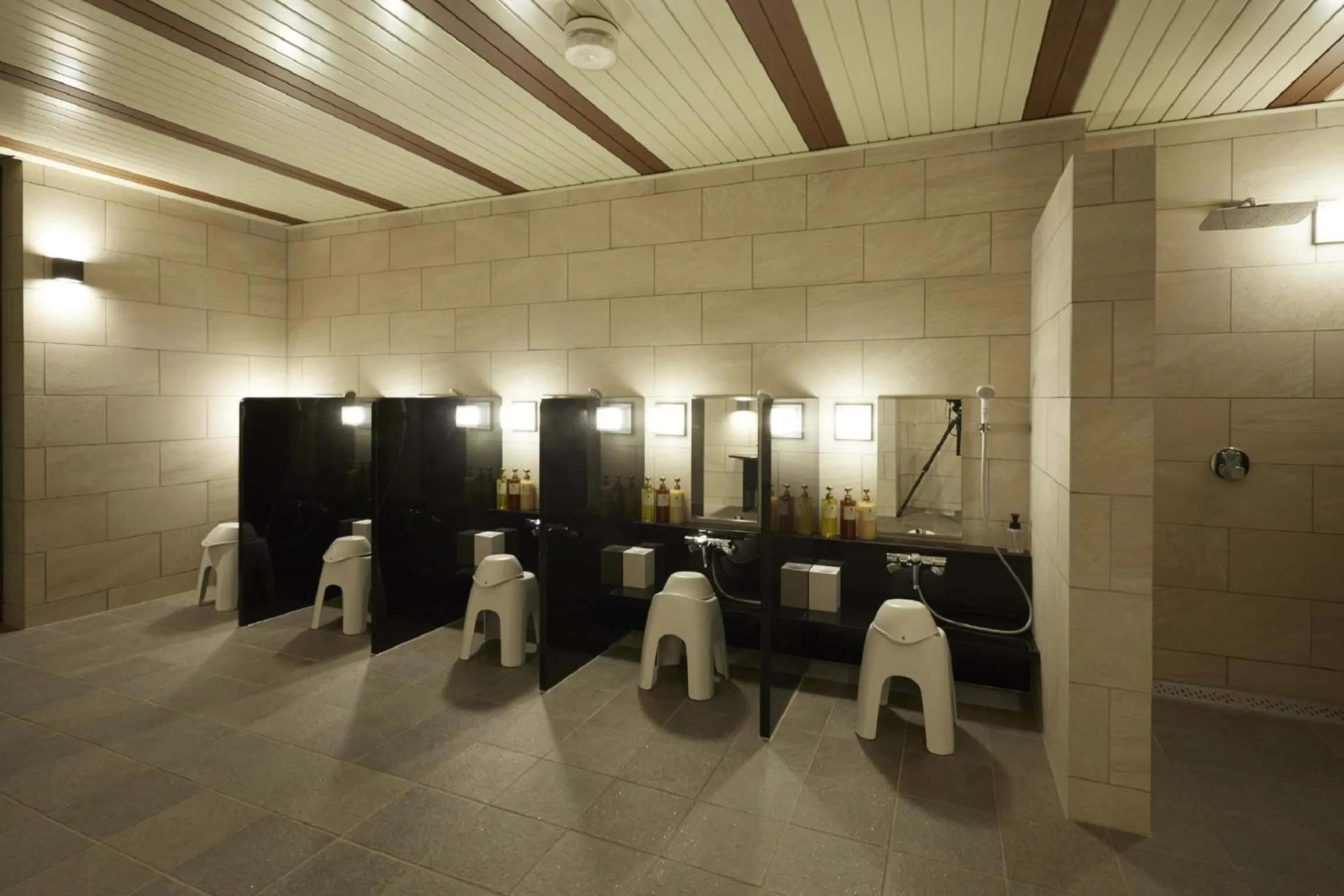 Public Bath in Odakyu Hotel de Yama