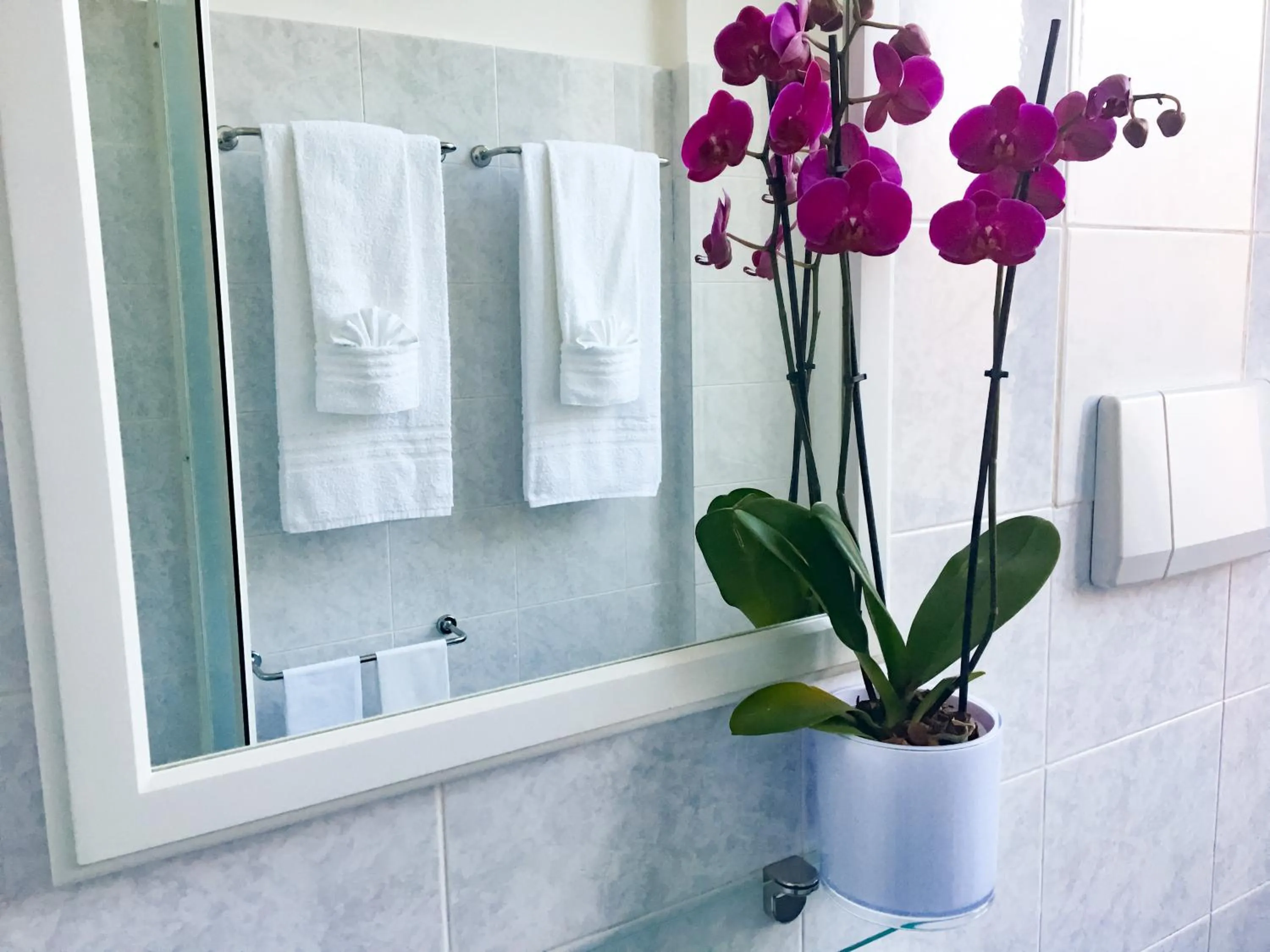 Bathroom in BASILICO Genova