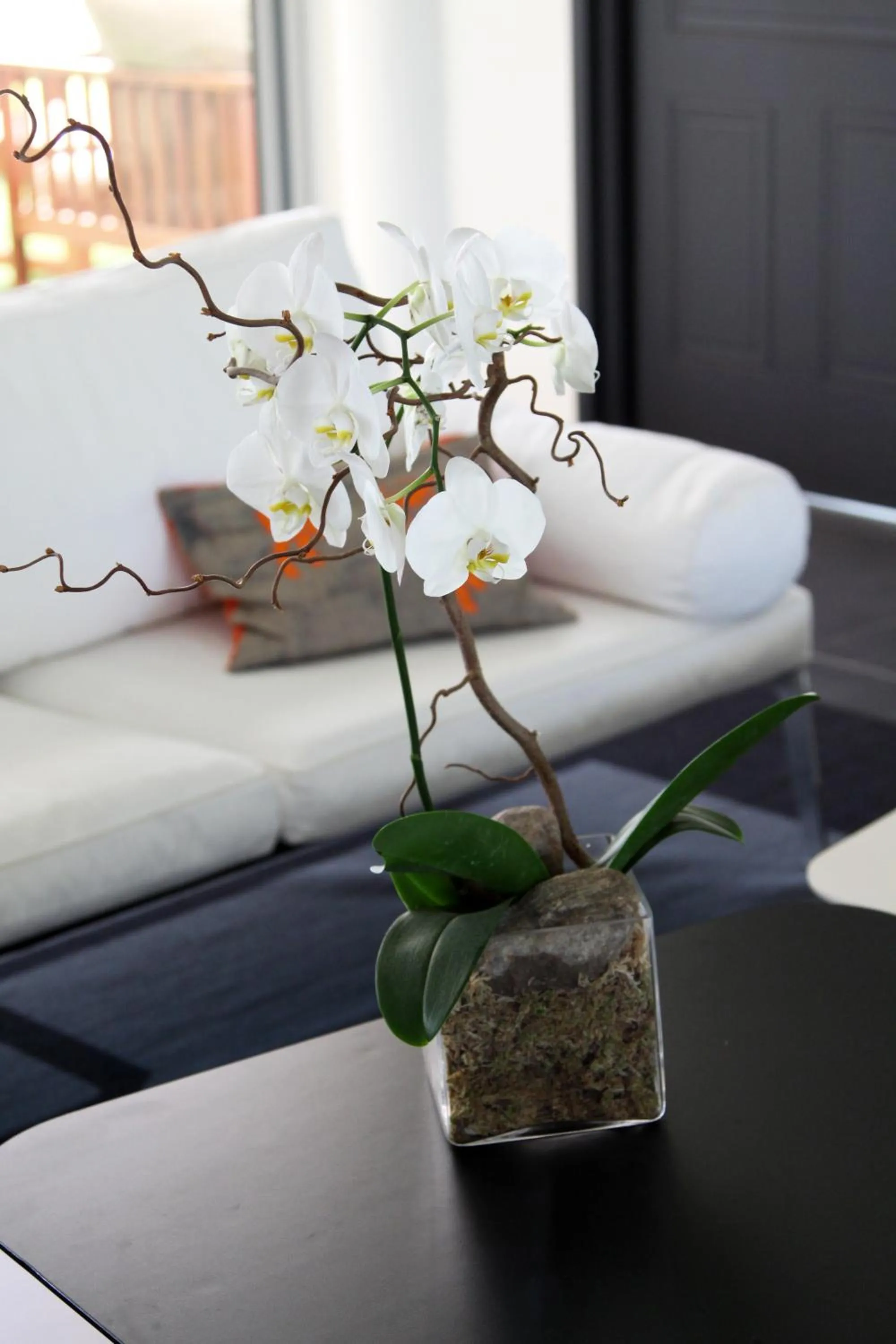 Decorative detail in Hôtel & Lodges Moby Dick