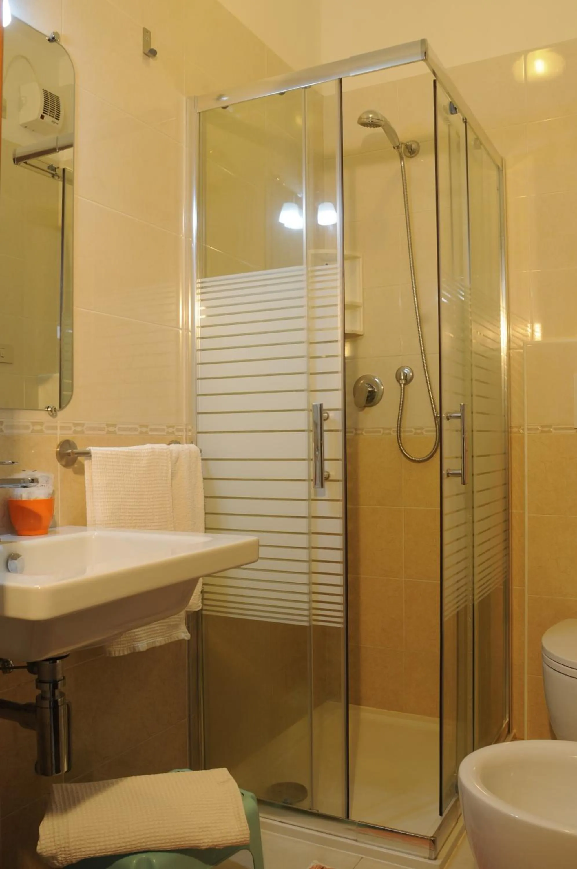 Double Room - single occupancy in Hotel Sole