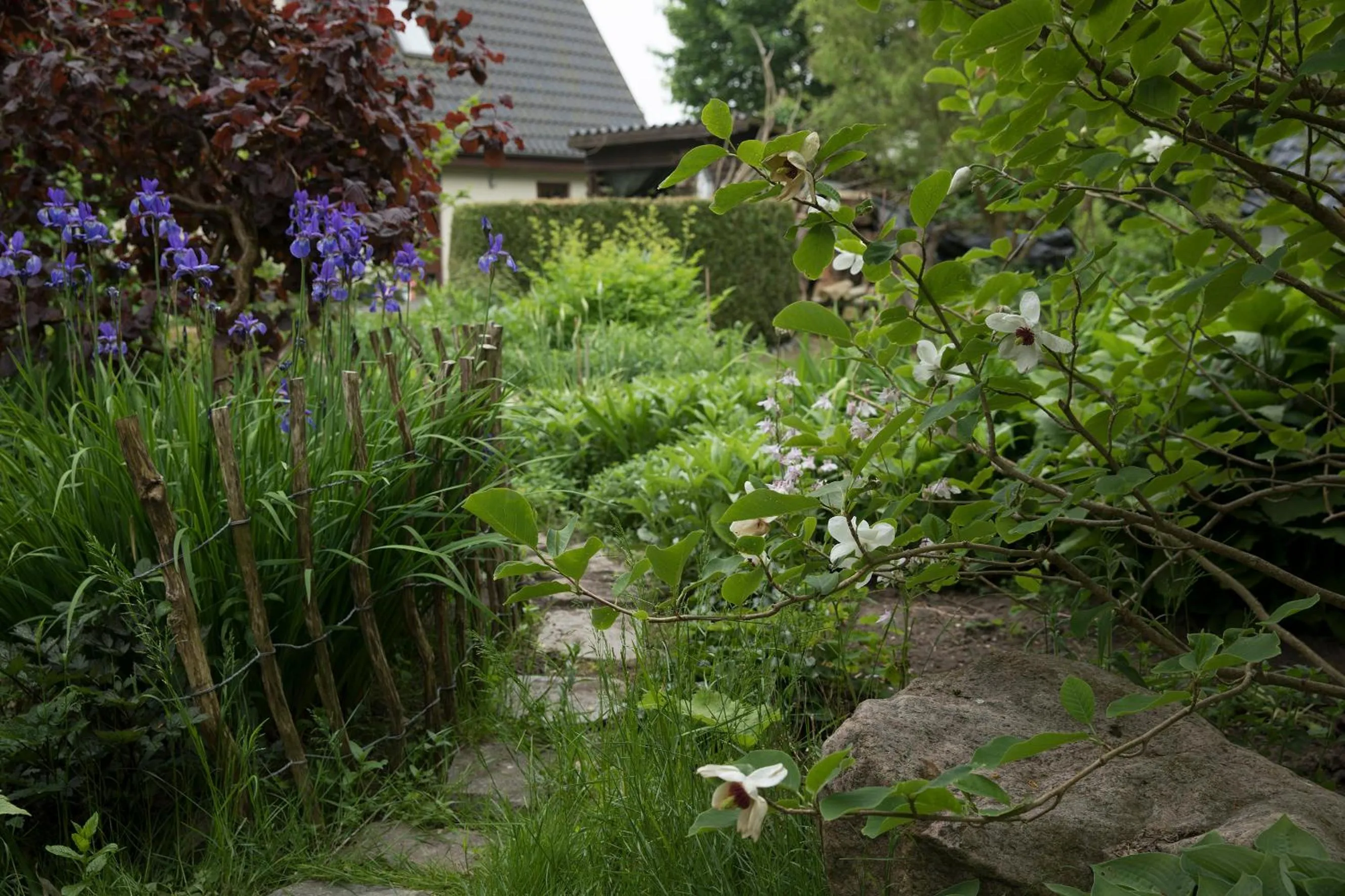 Natural landscape in Bed & Breakfast Horsens