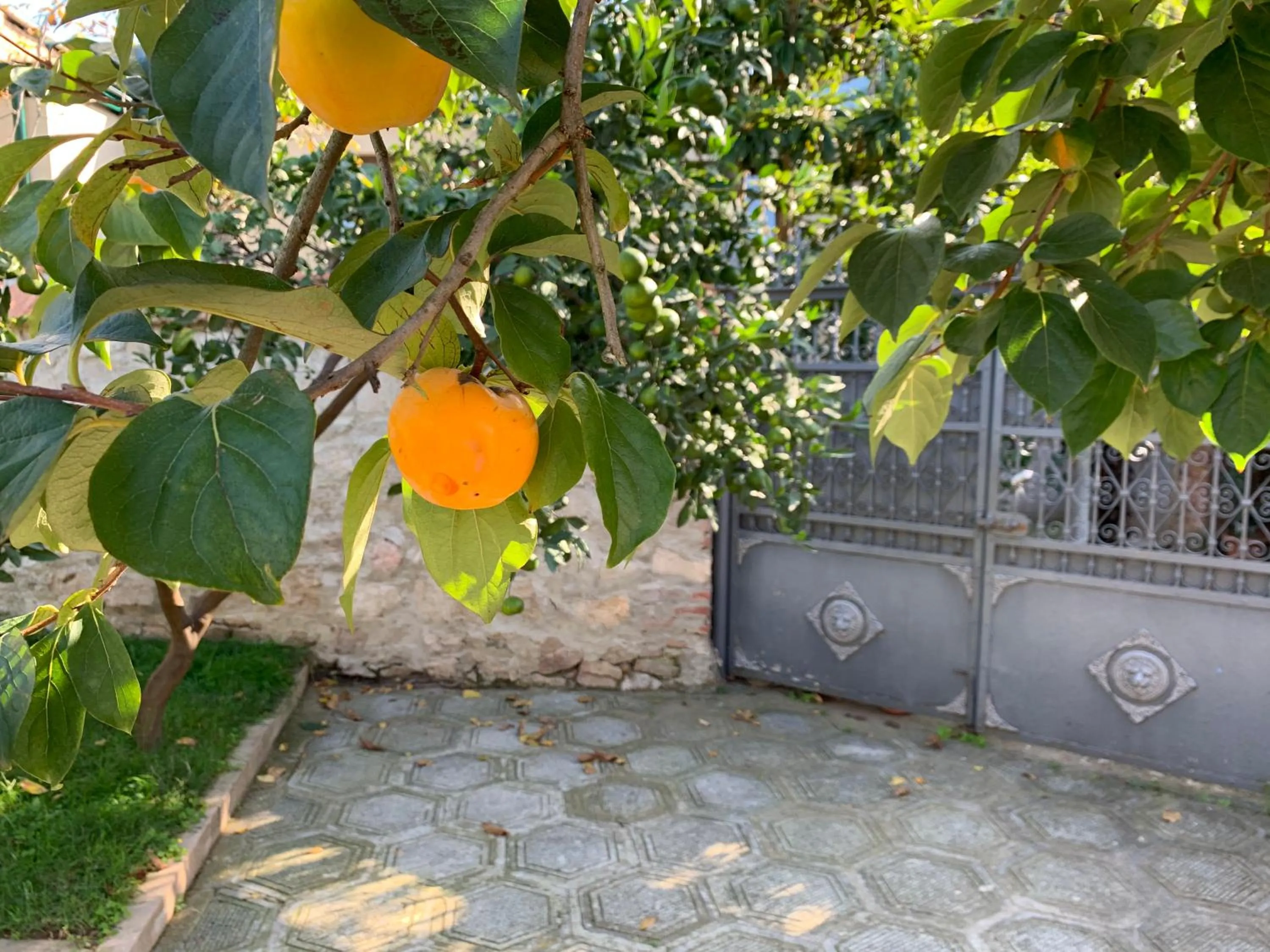 Property building in Hotel 1887