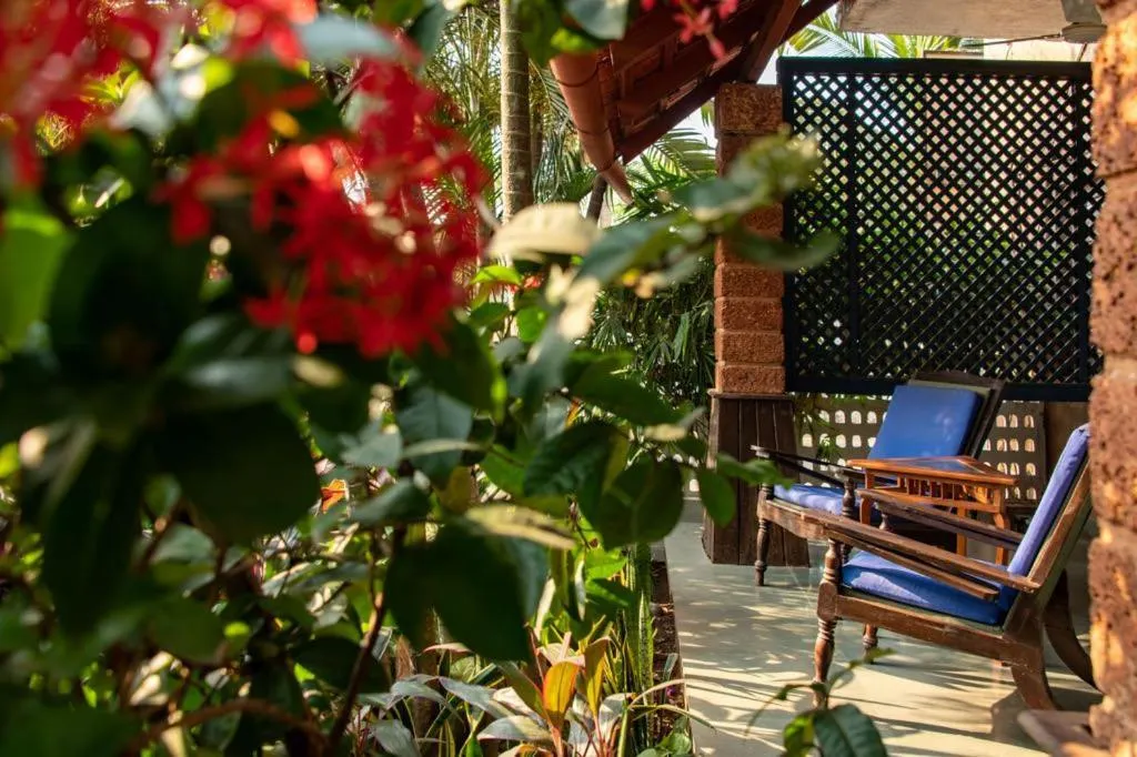 View (from property/room) in Casa Baga