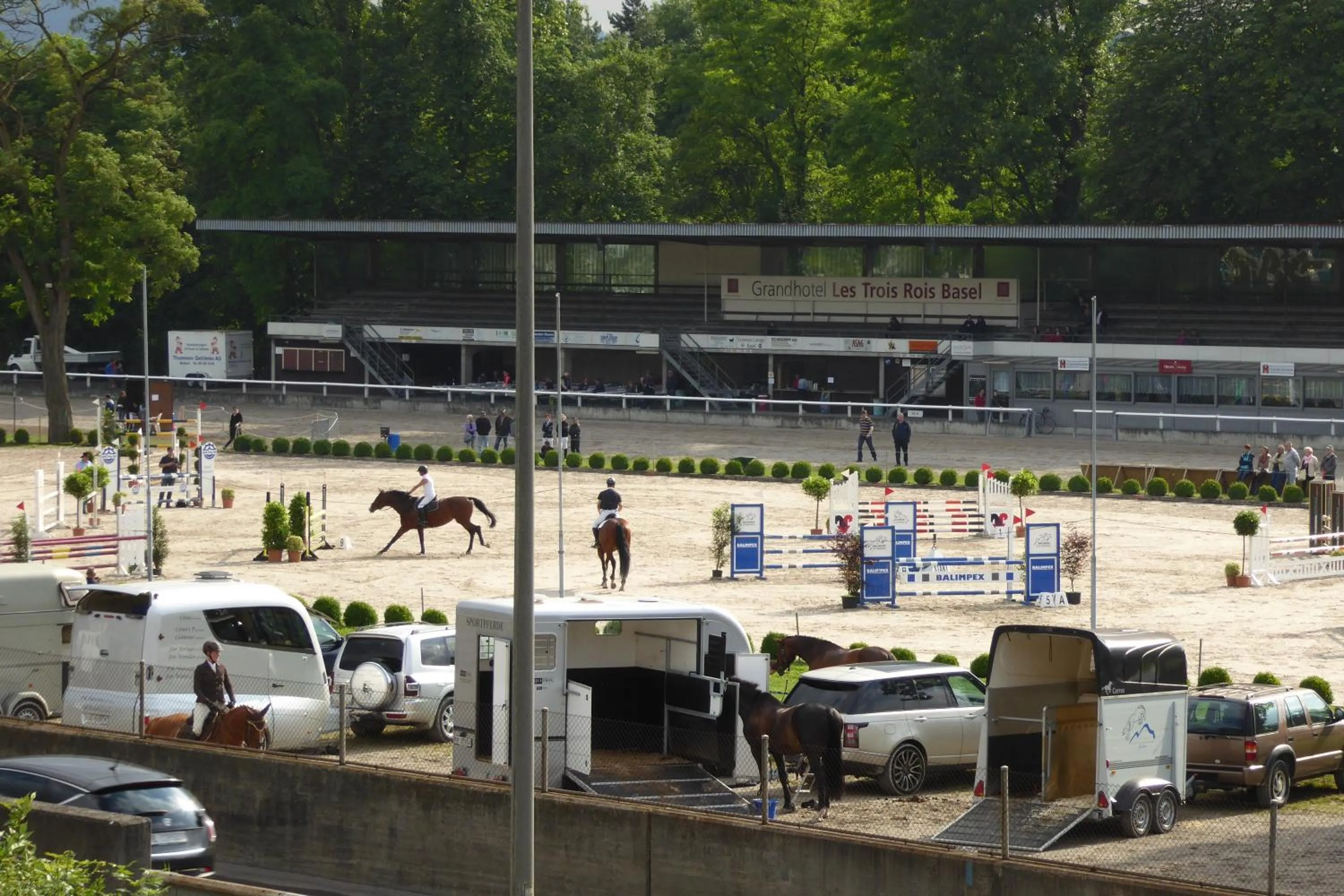 Horse-riding in B&B Pappelweg - 2