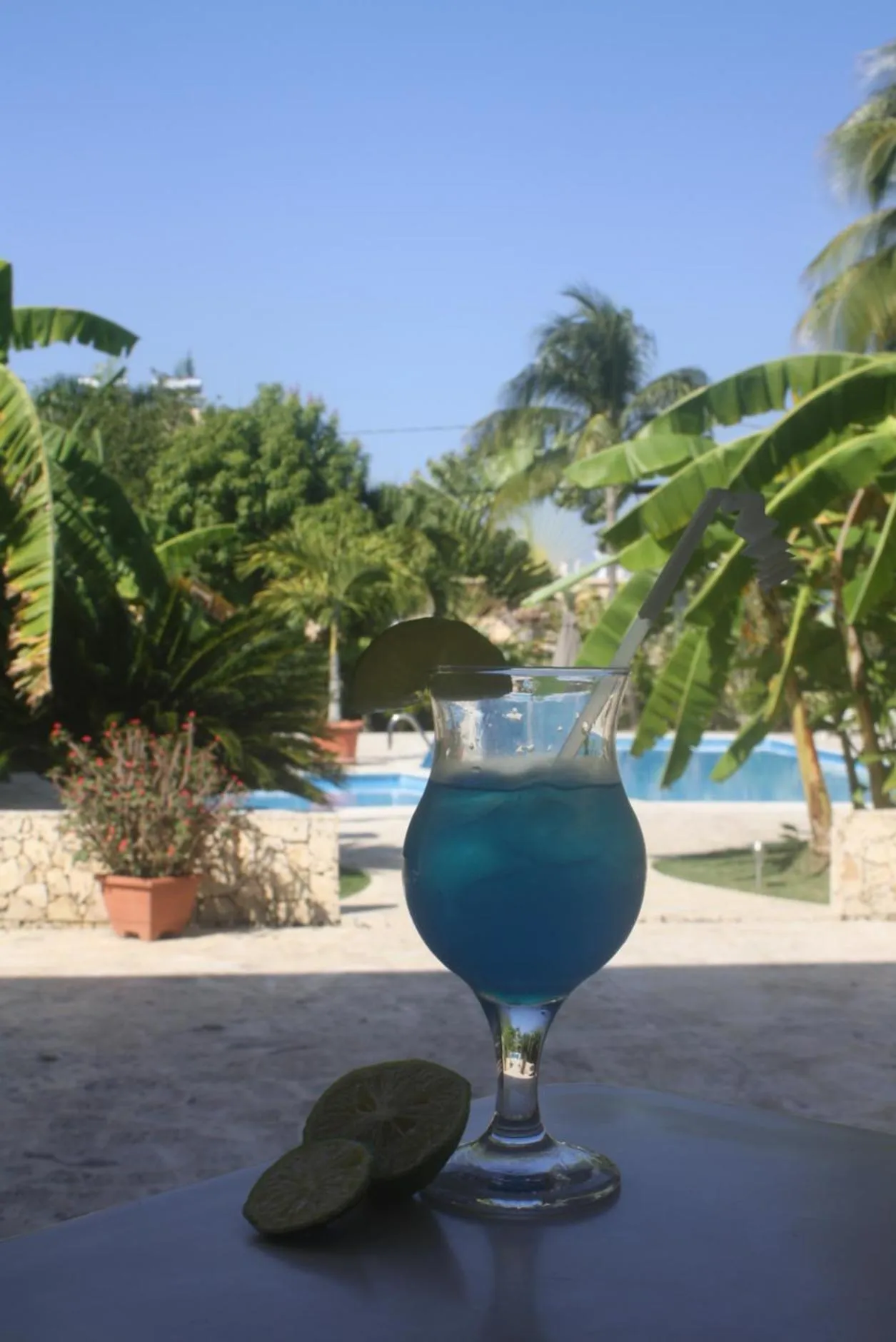 Swimming pool in Hotel Magic Tropical