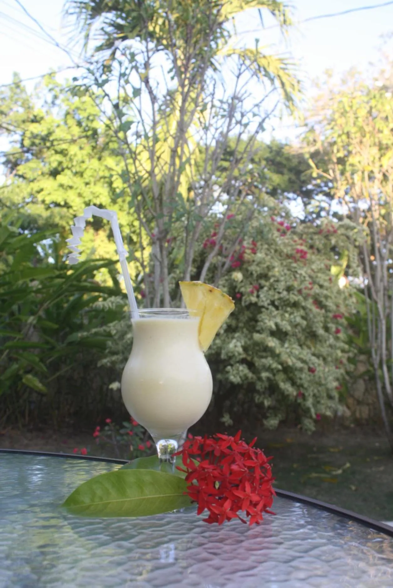 Drinks in Hotel Magic Tropical