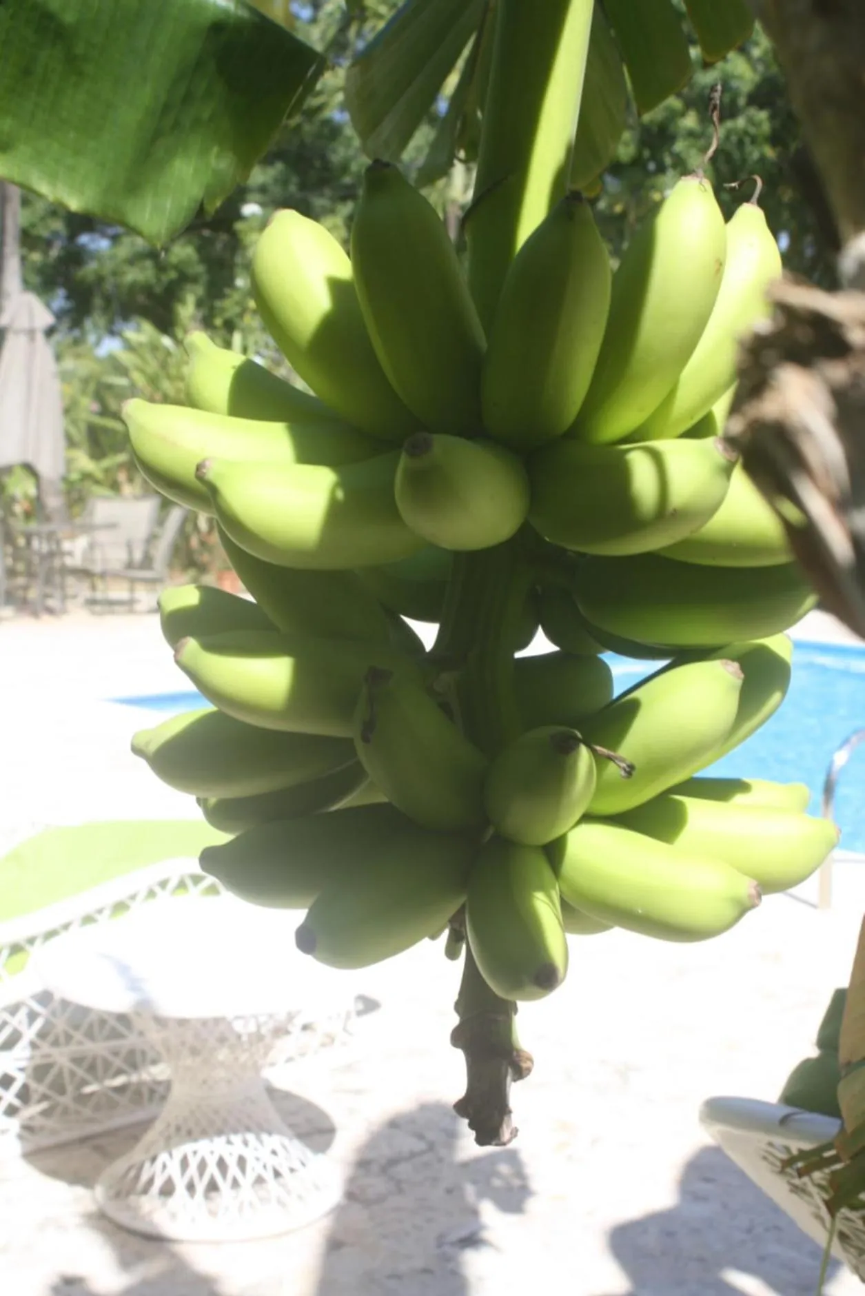 Natural landscape in Hotel Magic Tropical