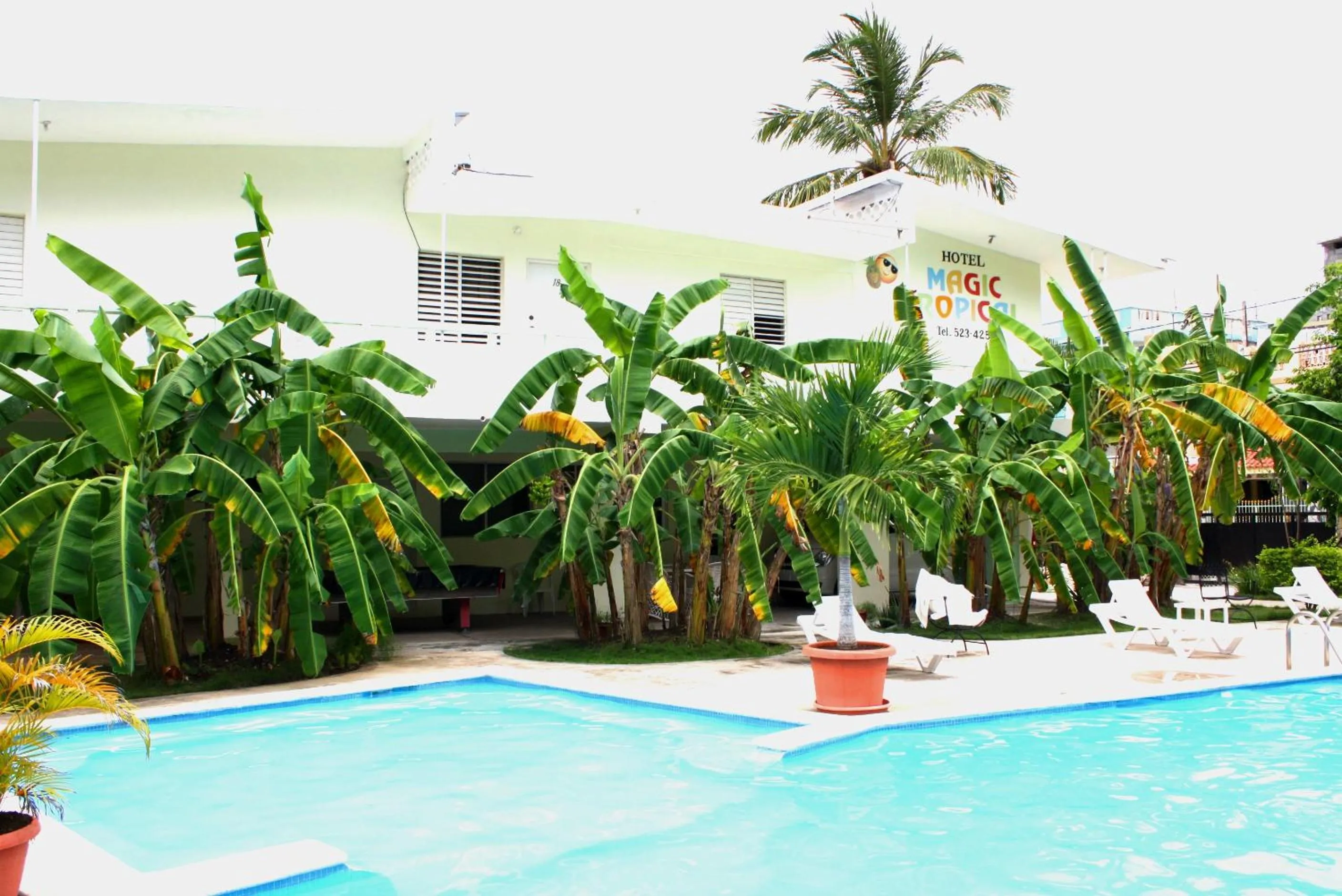 Swimming pool in Hotel Magic Tropical