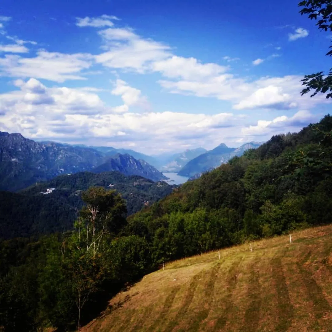 Natural landscape in Alla Vecchia Contrada B&B