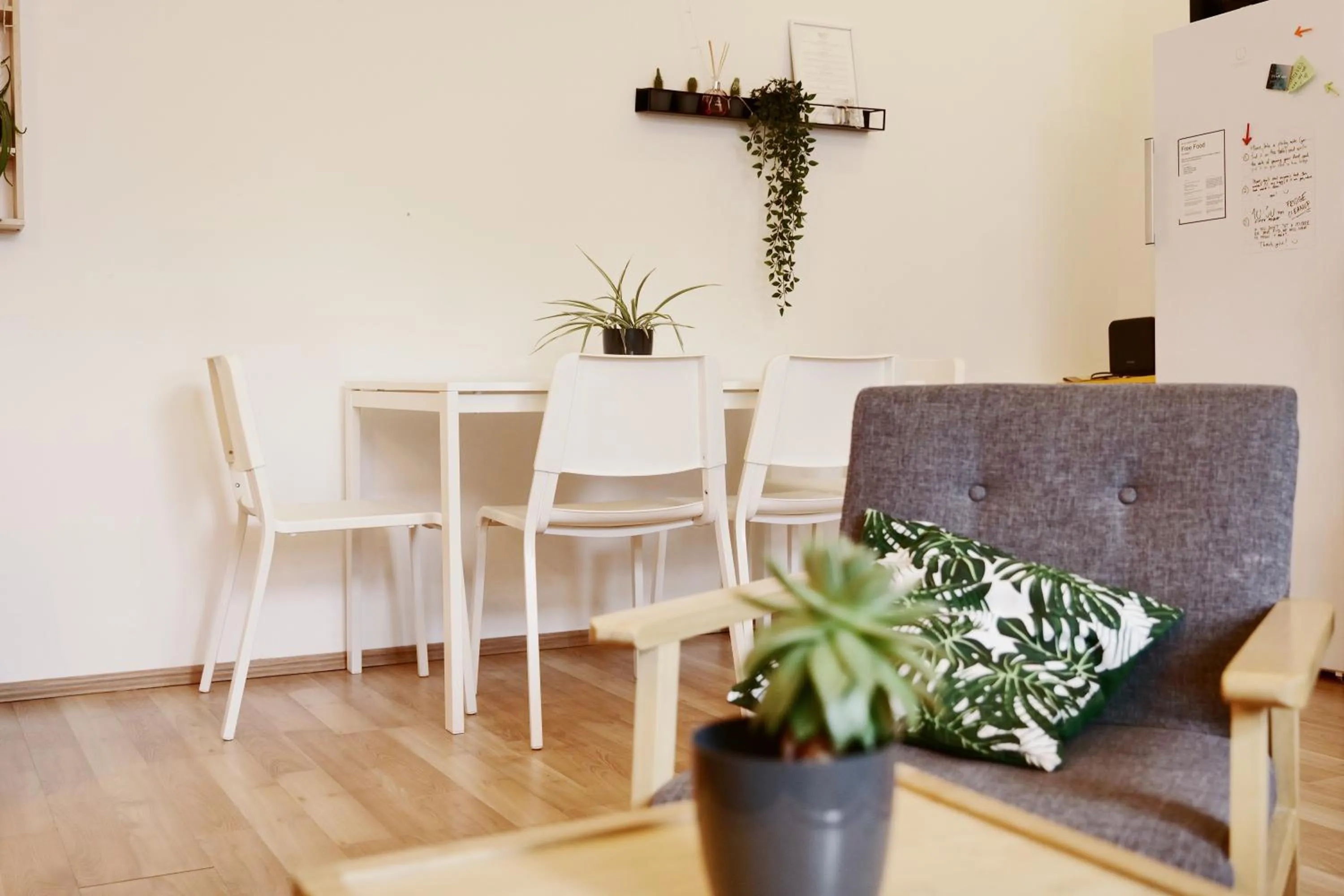 Kitchen or kitchenette in Schöndorf Hostel - virtual reception