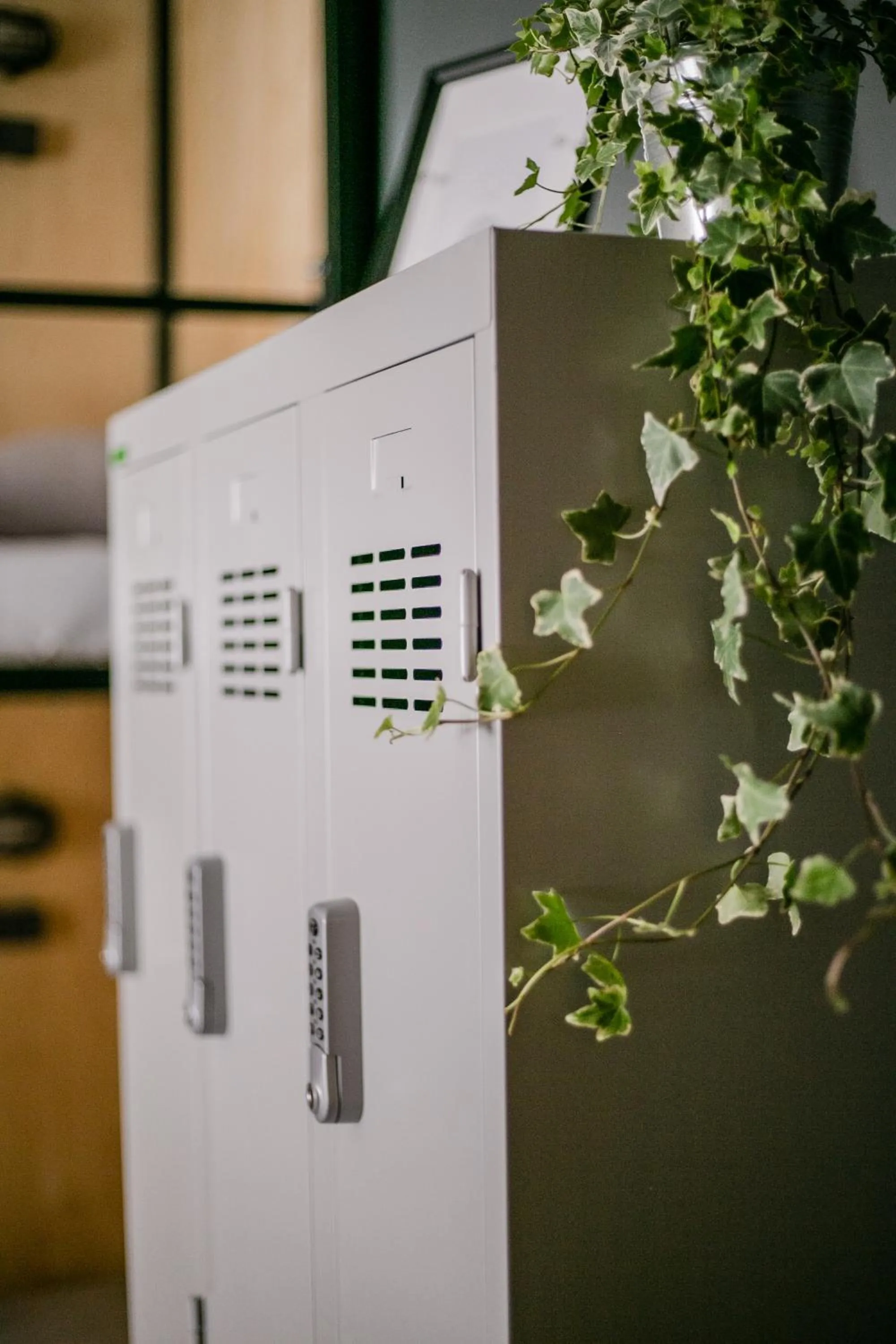 bunk bed in Schöndorf Hostel - virtual reception