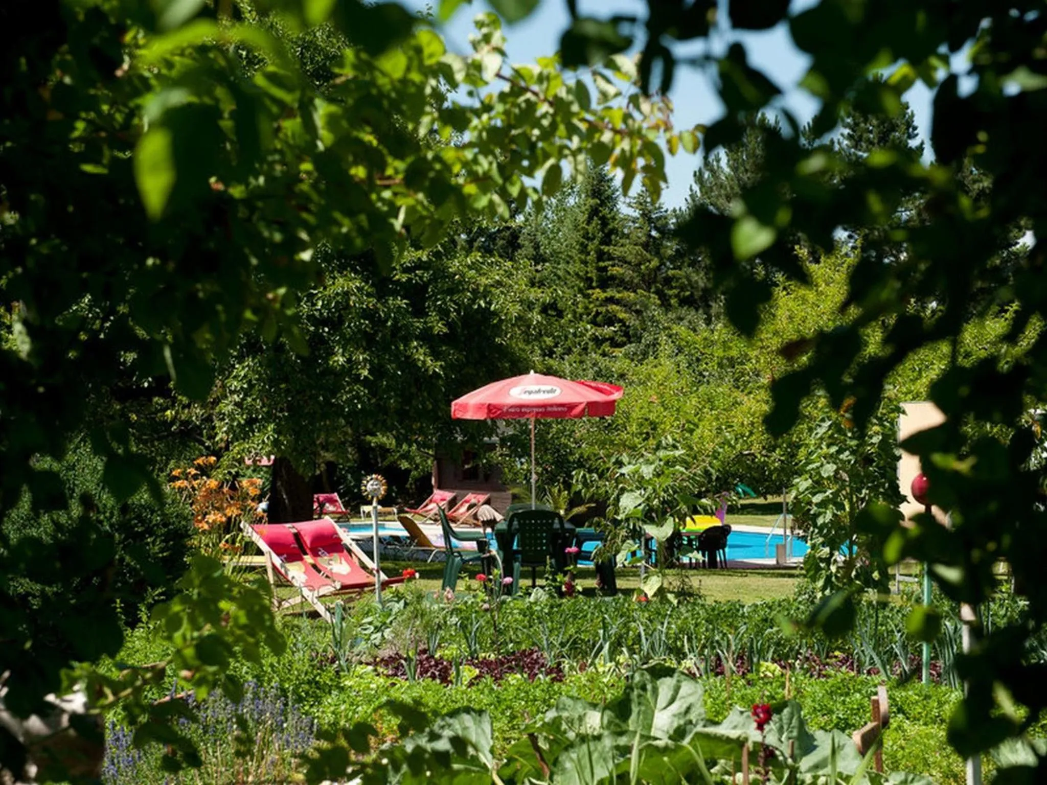 Garden in Hotel Zollner