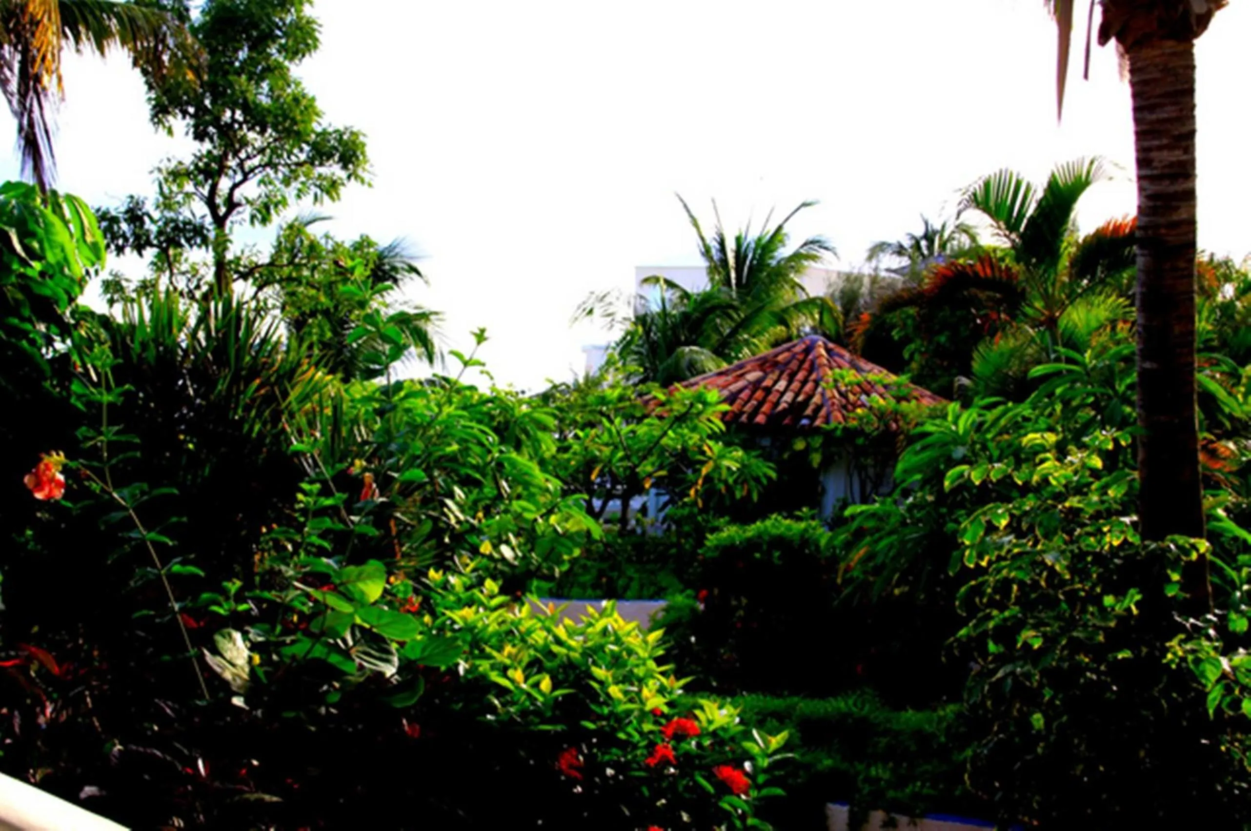 Garden in Sapphire Beach Club Resort