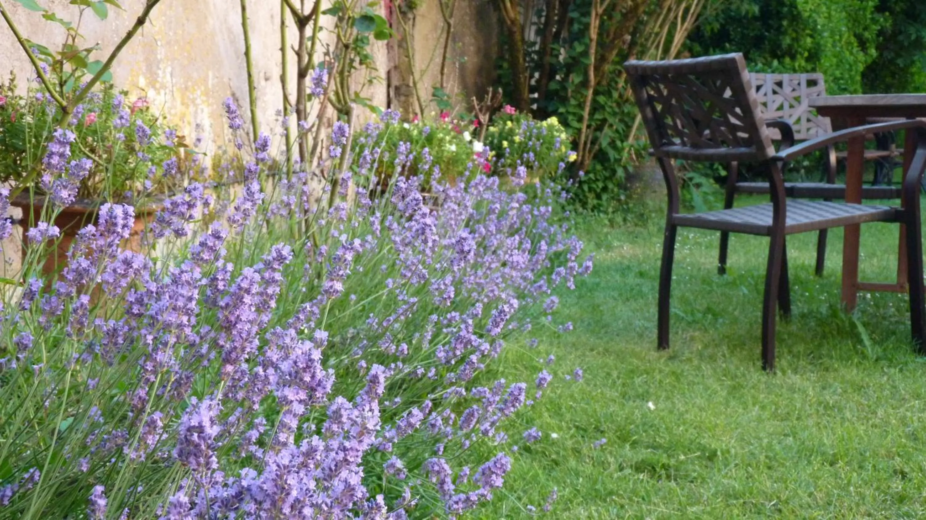 Garden in Chambres d'hôtes Coté Halles