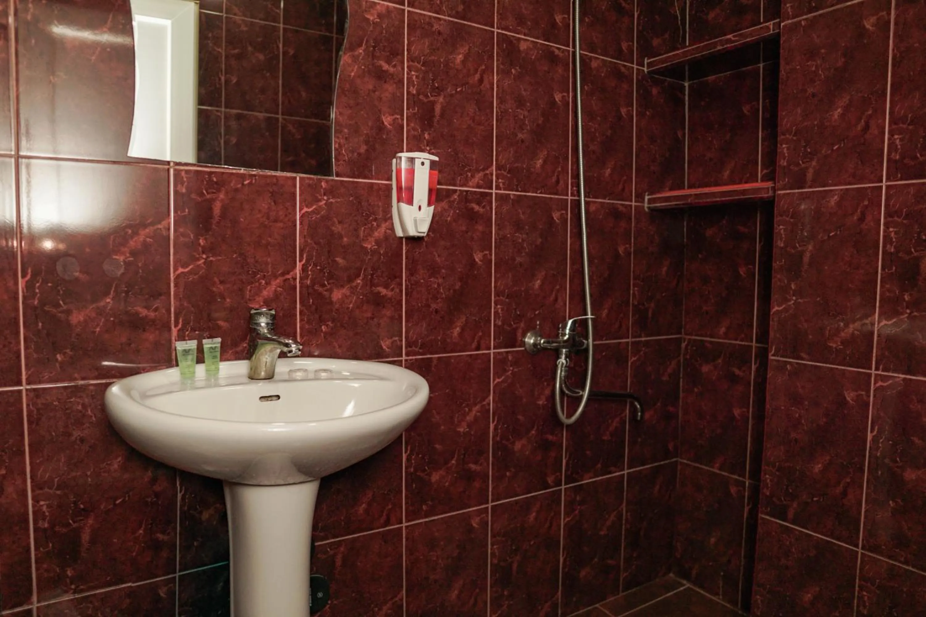 Bathroom in Hotel VENUS