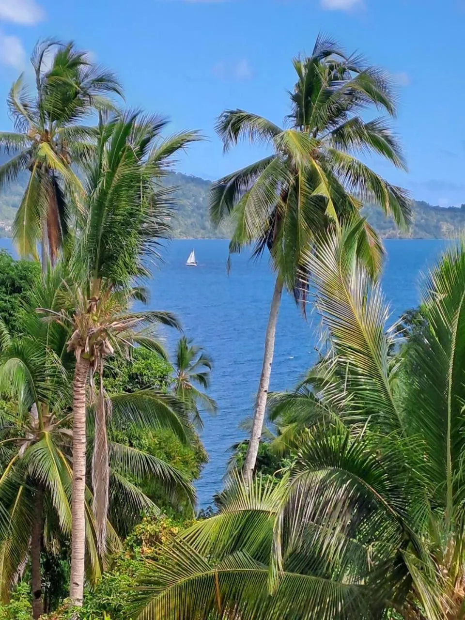 View (from property/room) in LE CHISSIOUA
