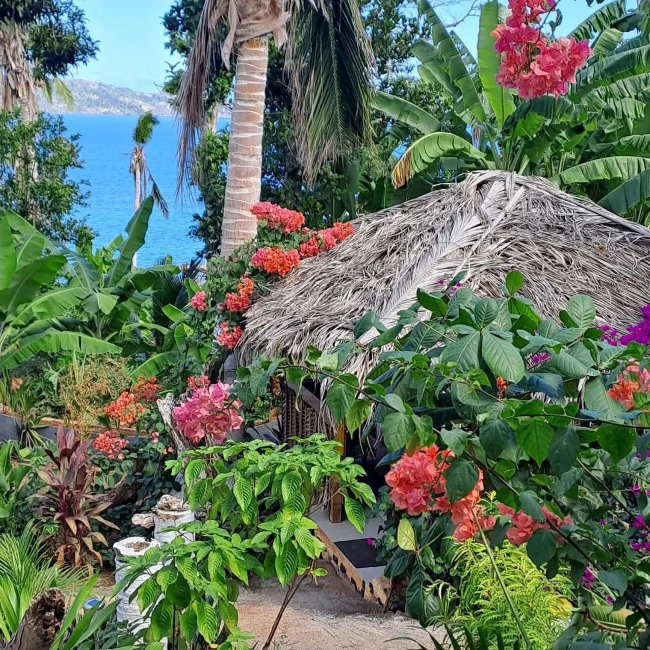 Garden in LE CHISSIOUA