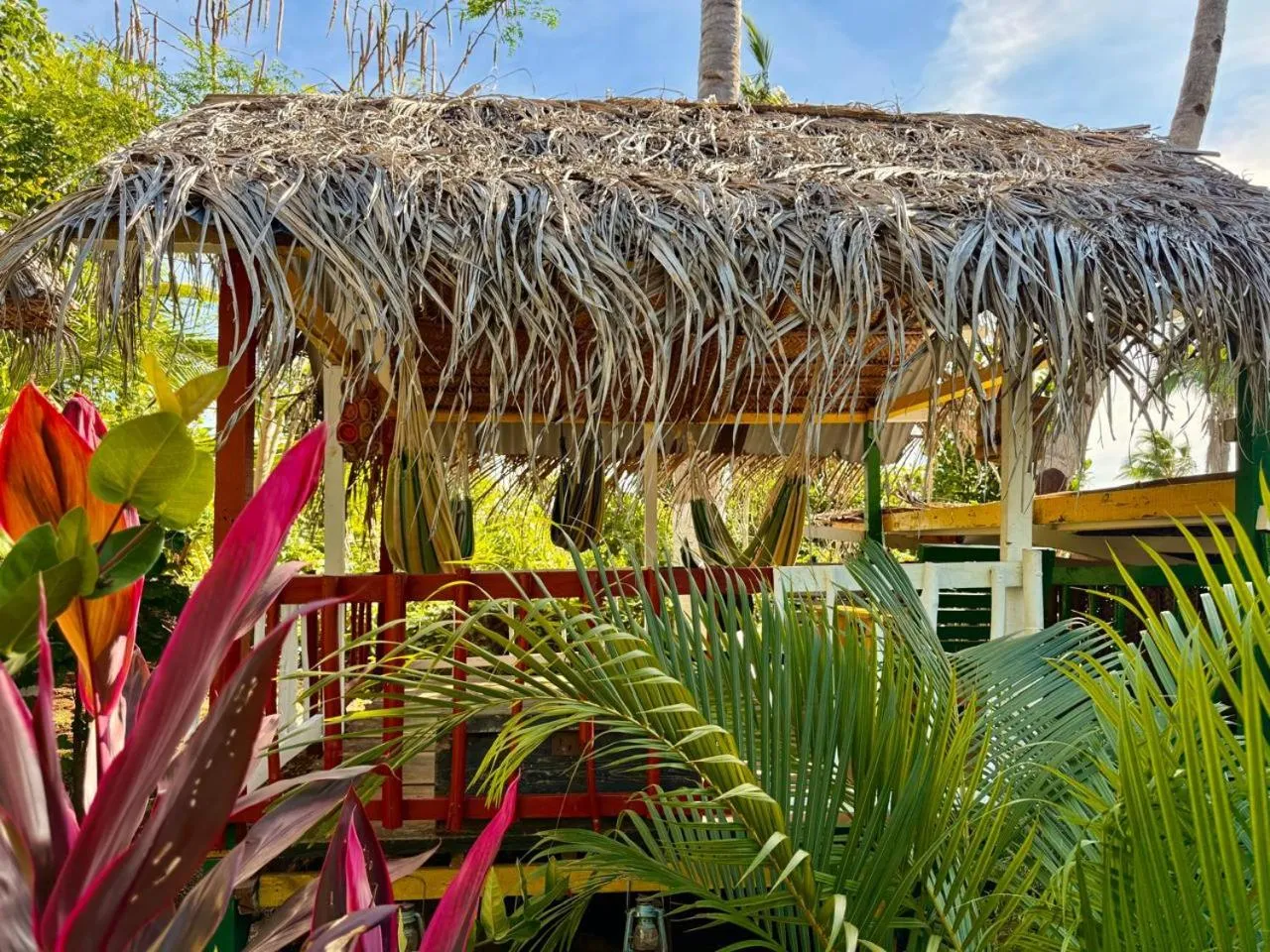 Garden in LE CHISSIOUA