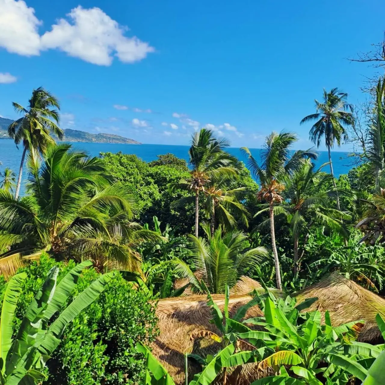 Property building in LE CHISSIOUA