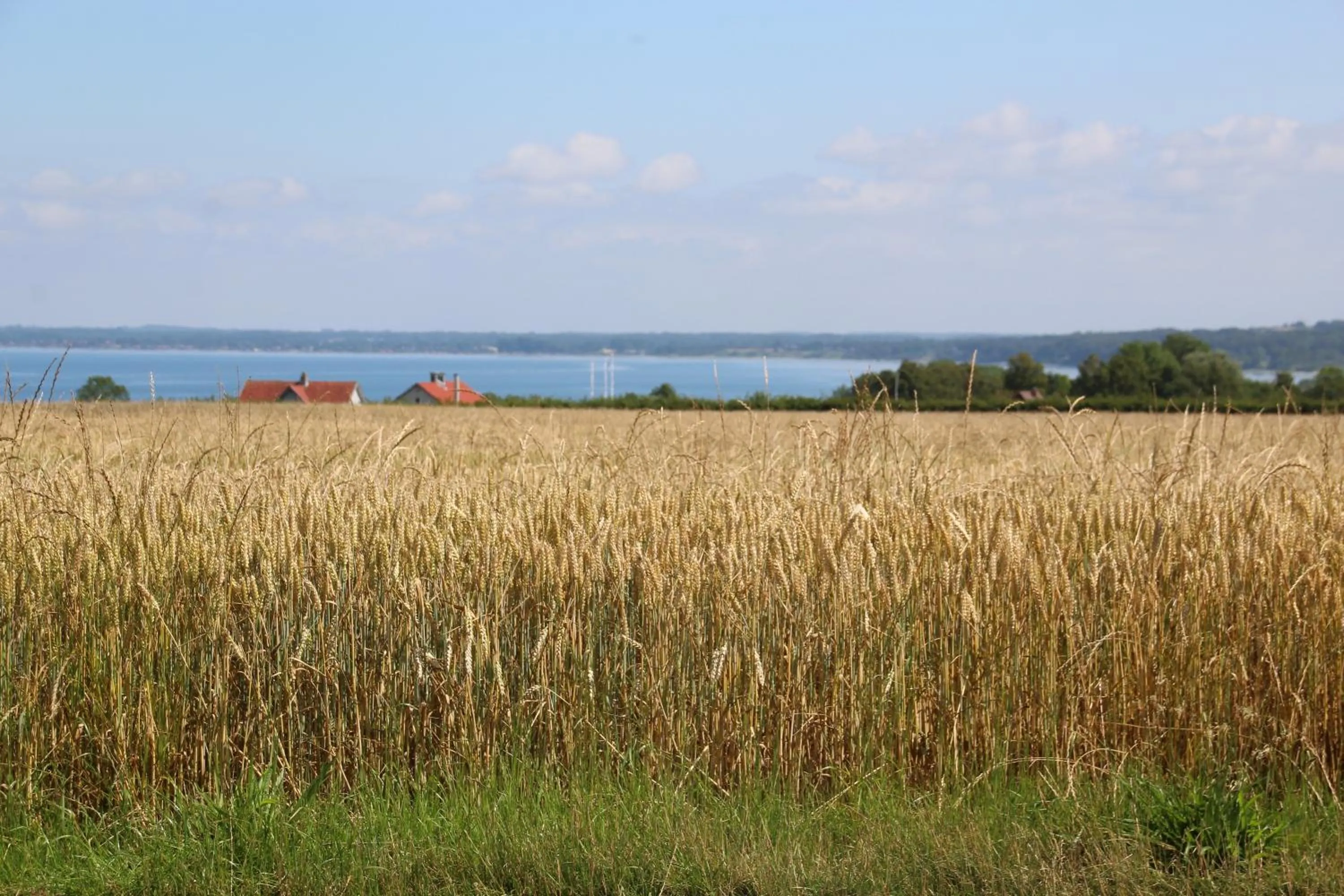 Natural landscape in Samsted
