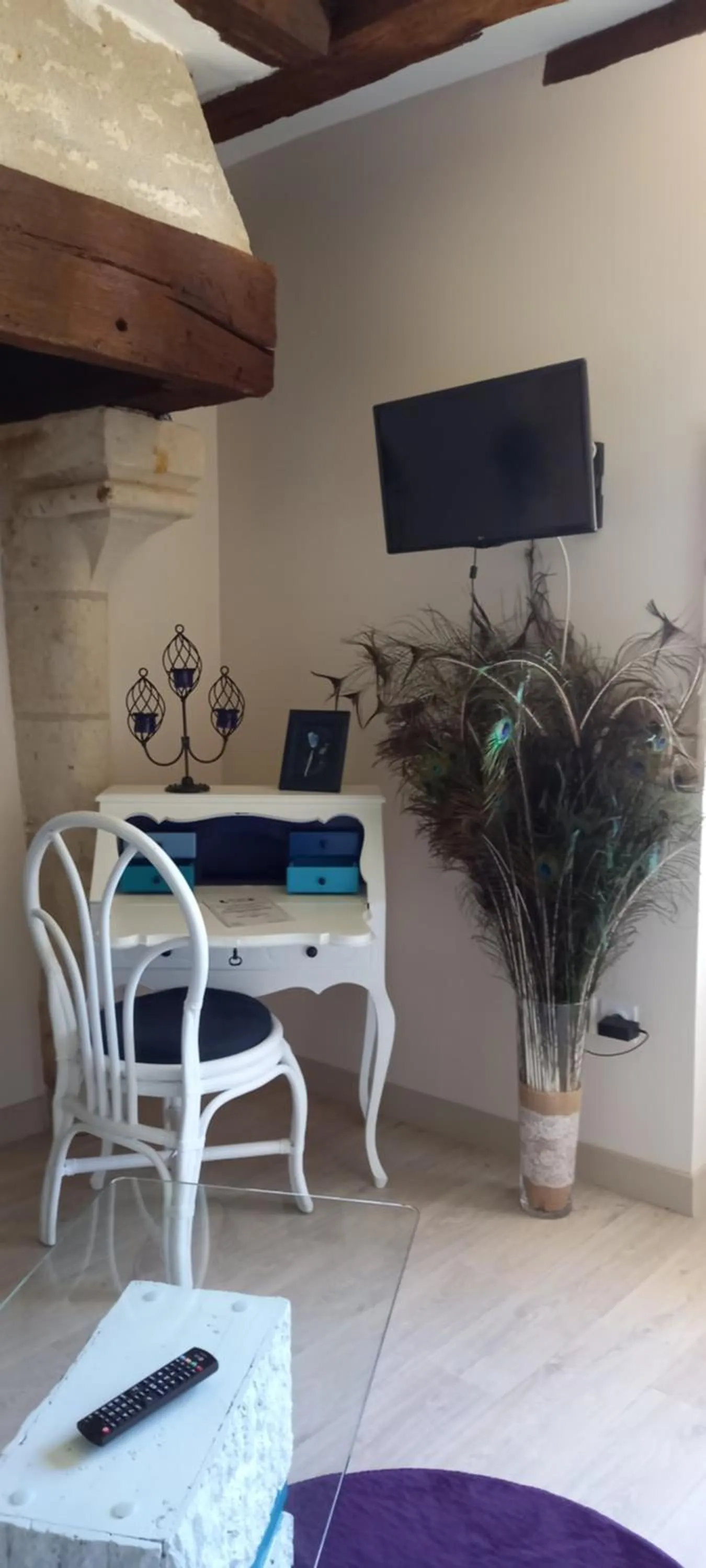 TV and multimedia in Aux penates de Toni Beauval