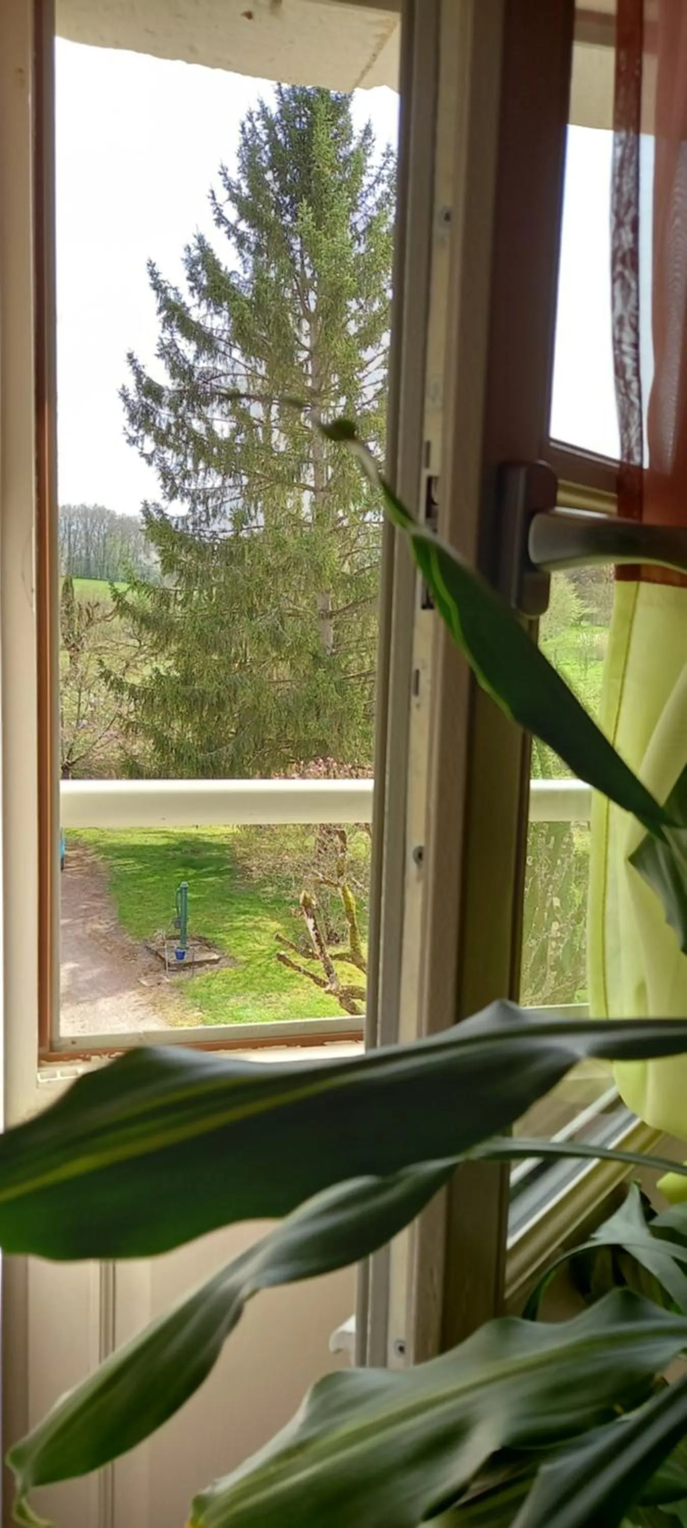 Garden view in Aux penates de Toni Beauval