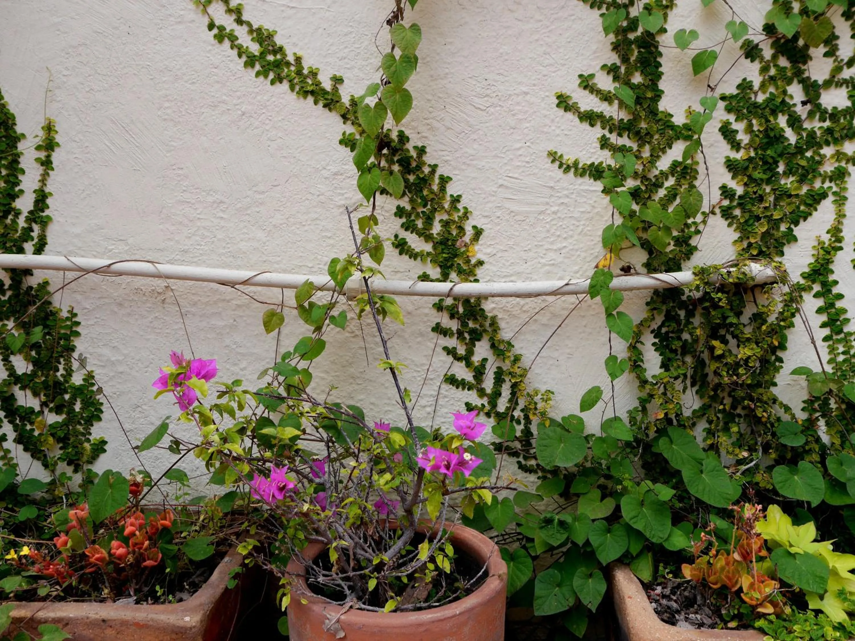 Patio in Hostel Hospedarte Centro