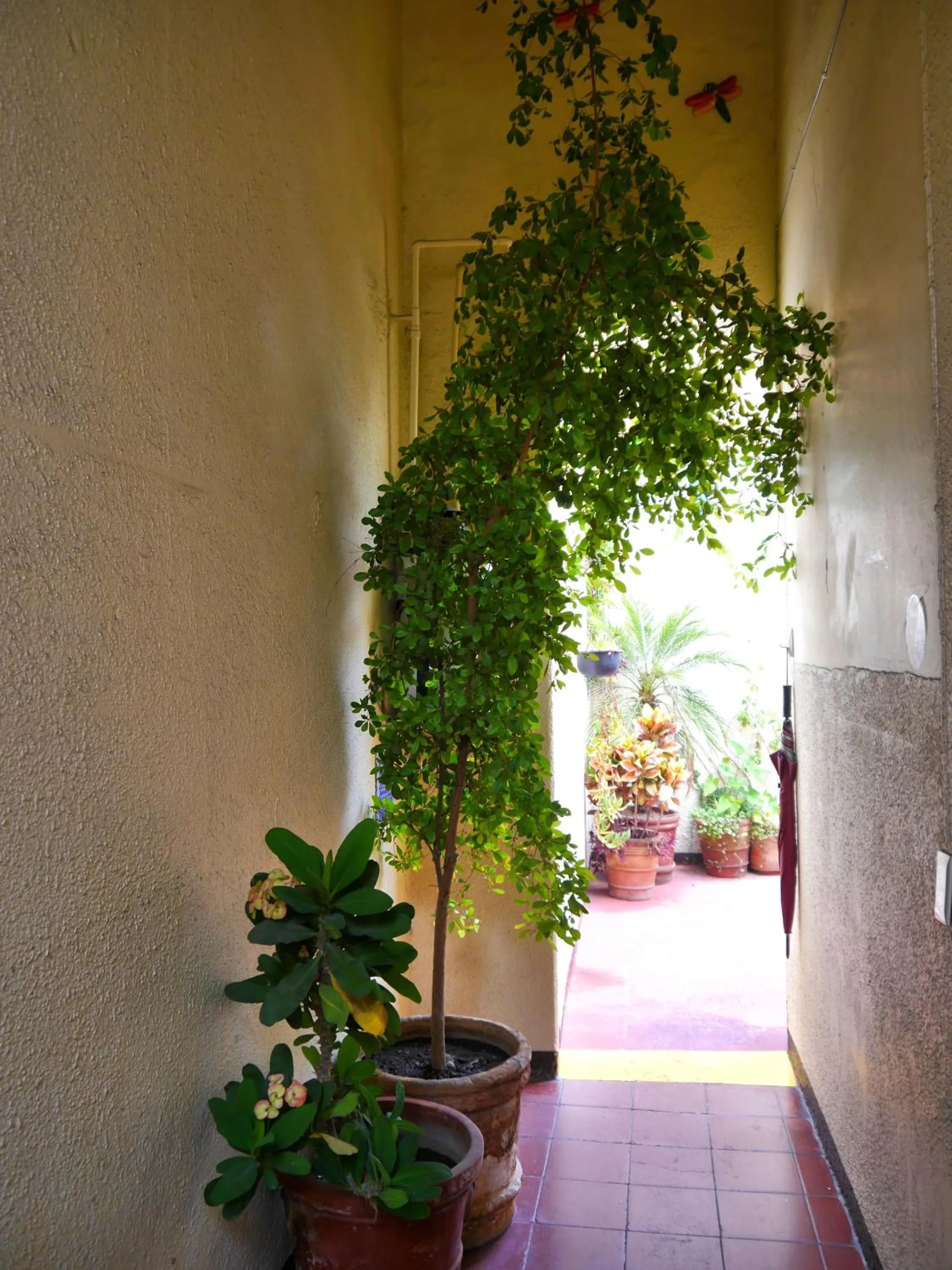 Patio in Hostel Hospedarte Centro