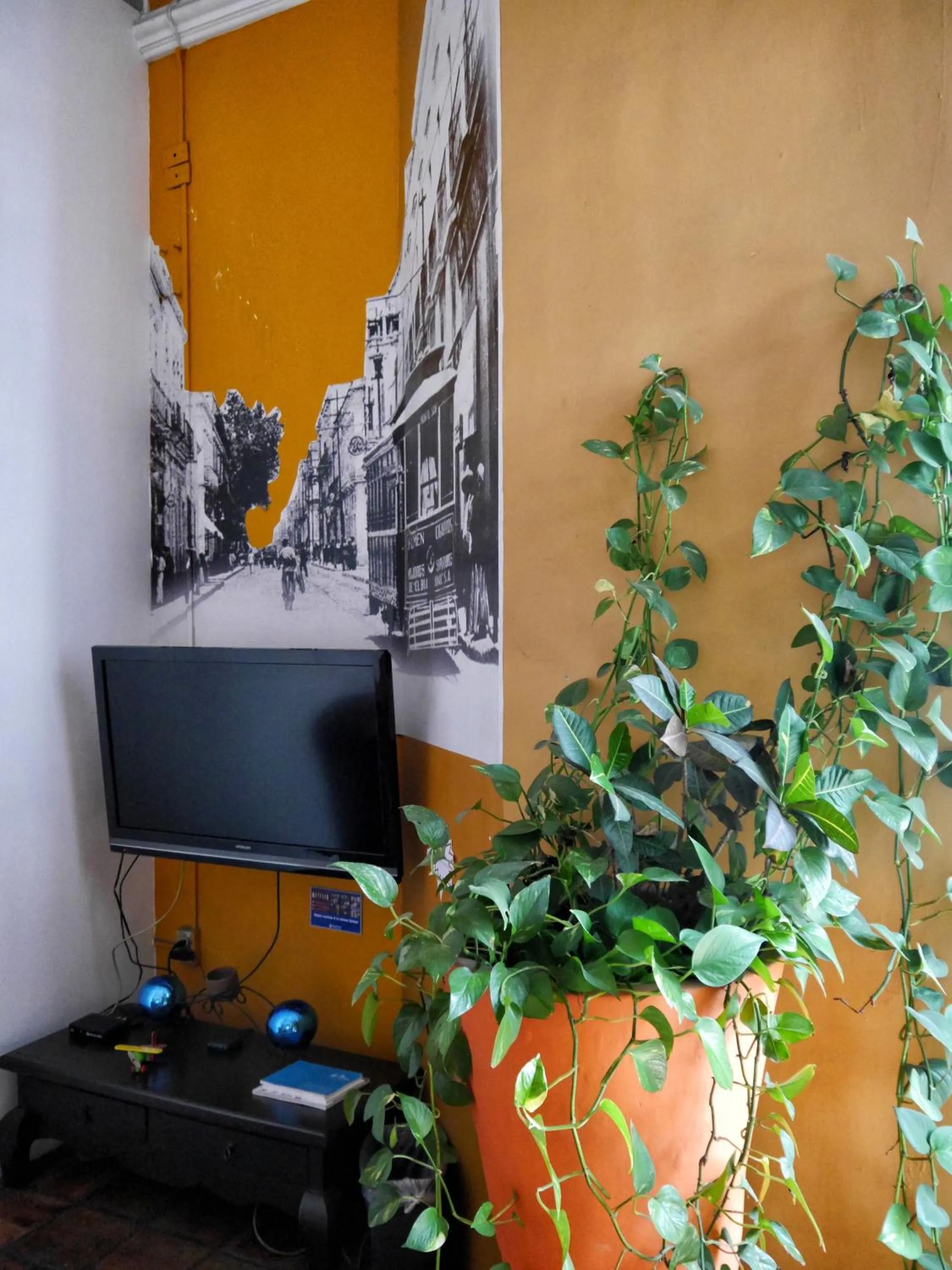 TV and multimedia in Hostel Hospedarte Centro