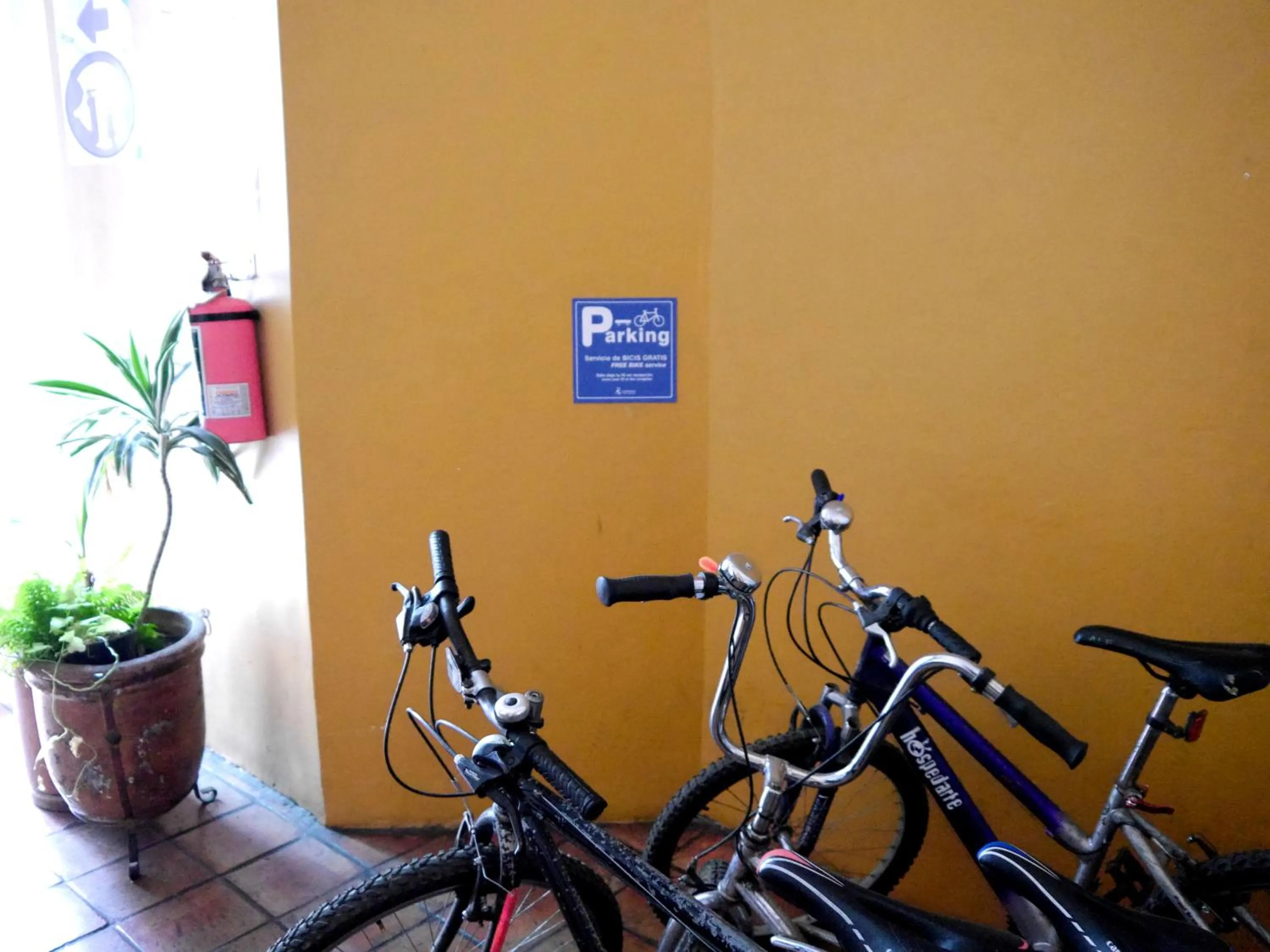 Activities in Hostel Hospedarte Centro