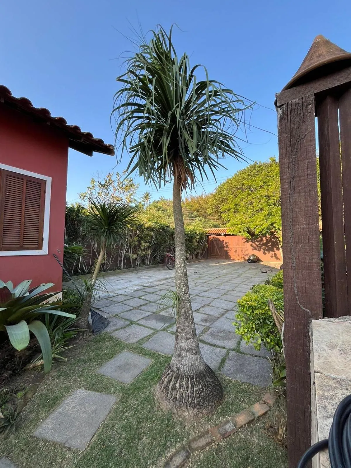 Garden view in Guesthouse Casa da Aroeira