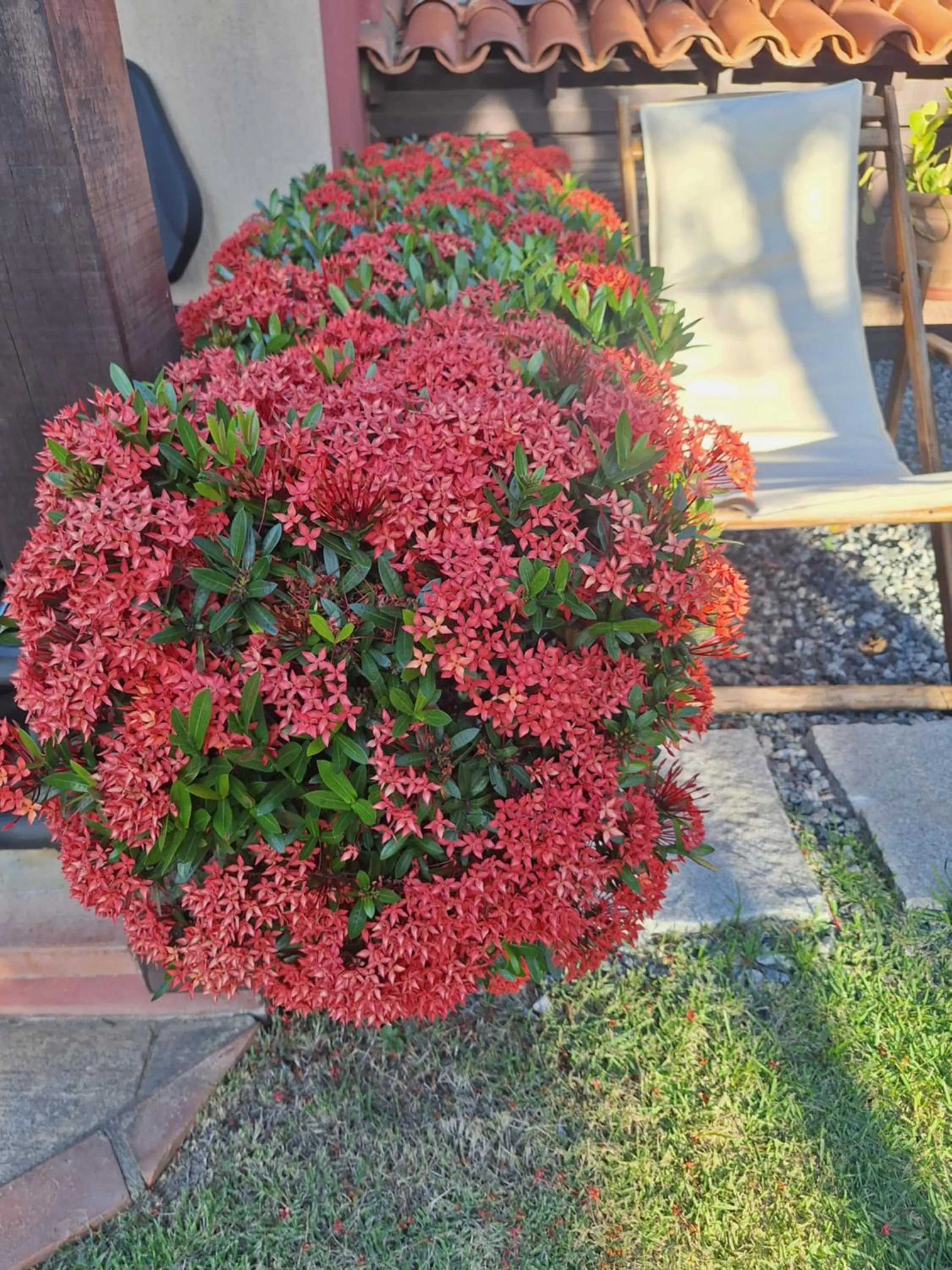 Garden view in Guesthouse Casa da Aroeira