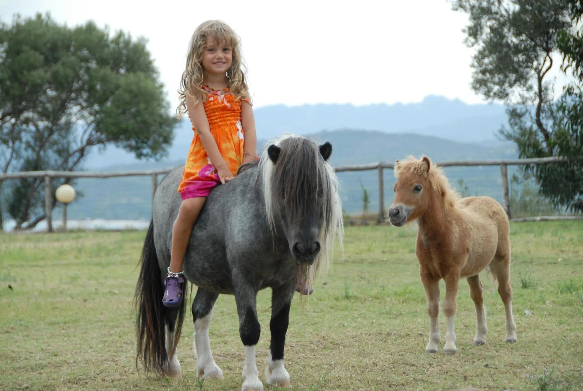 Garden in Arbatax Park Resort - Suites Del Mare