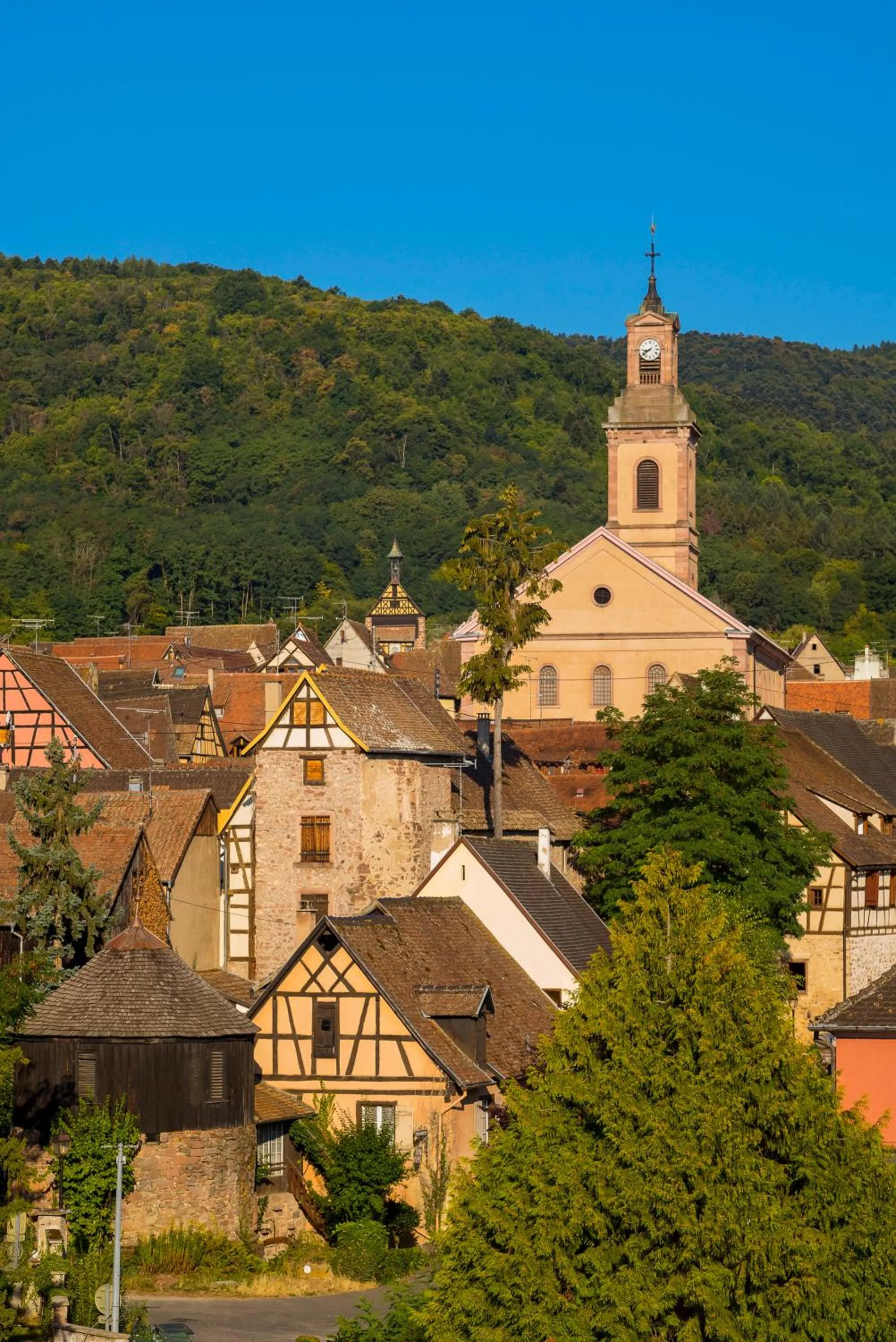 Nearby landmark in Best Western Plus Hotel & SPA Le Schoenenbourg