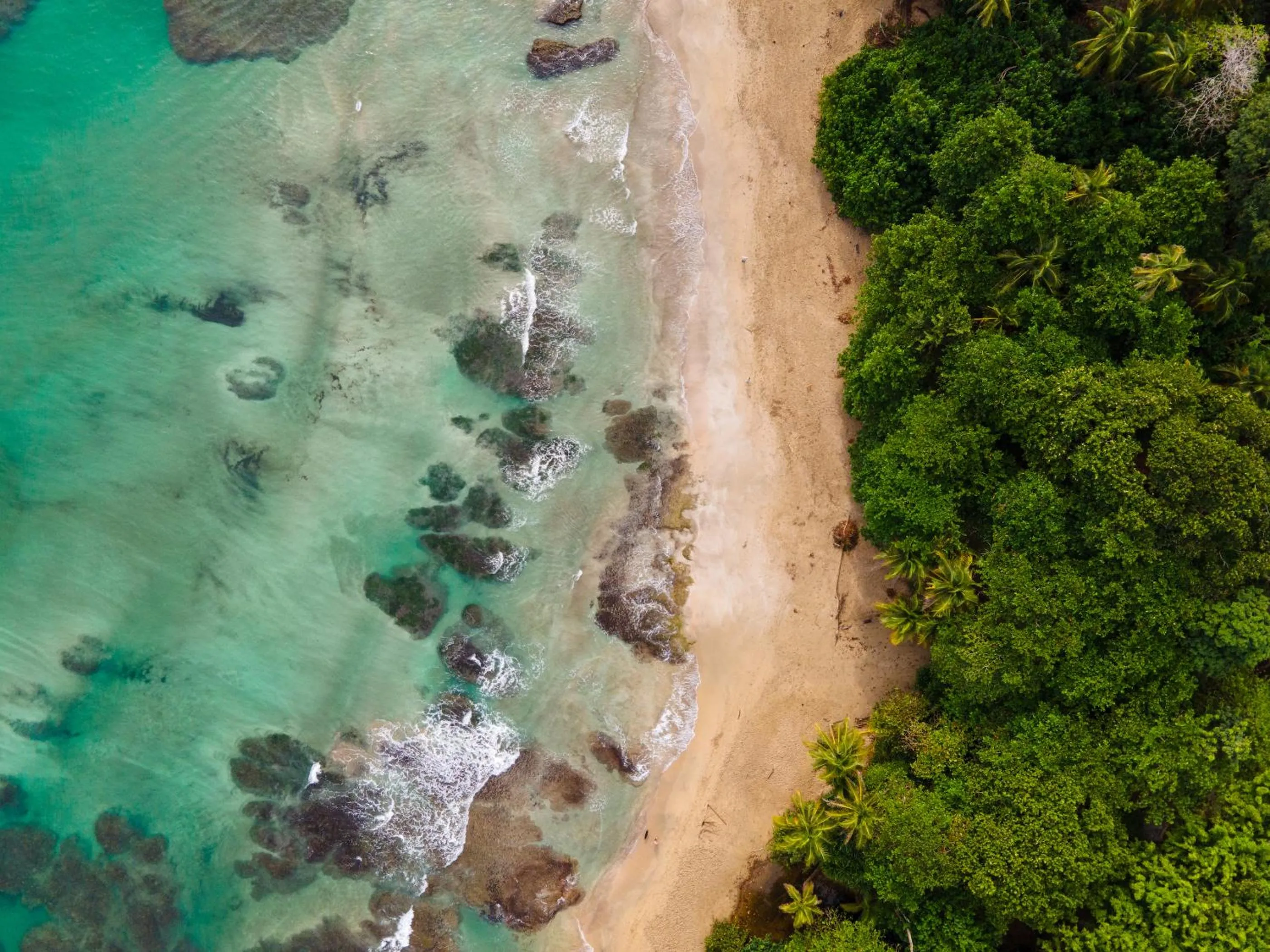 Natural landscape in Namuwoki Lodge