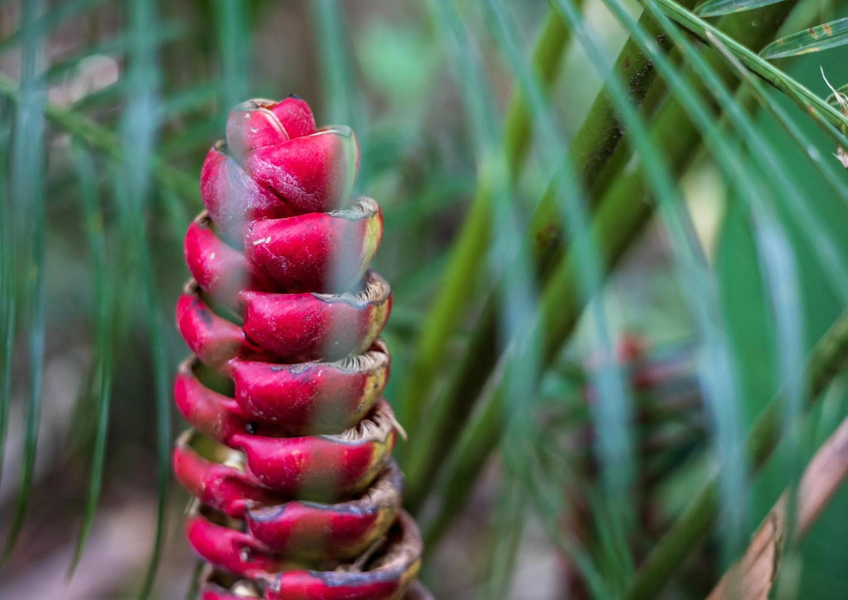 Garden in Namuwoki Lodge