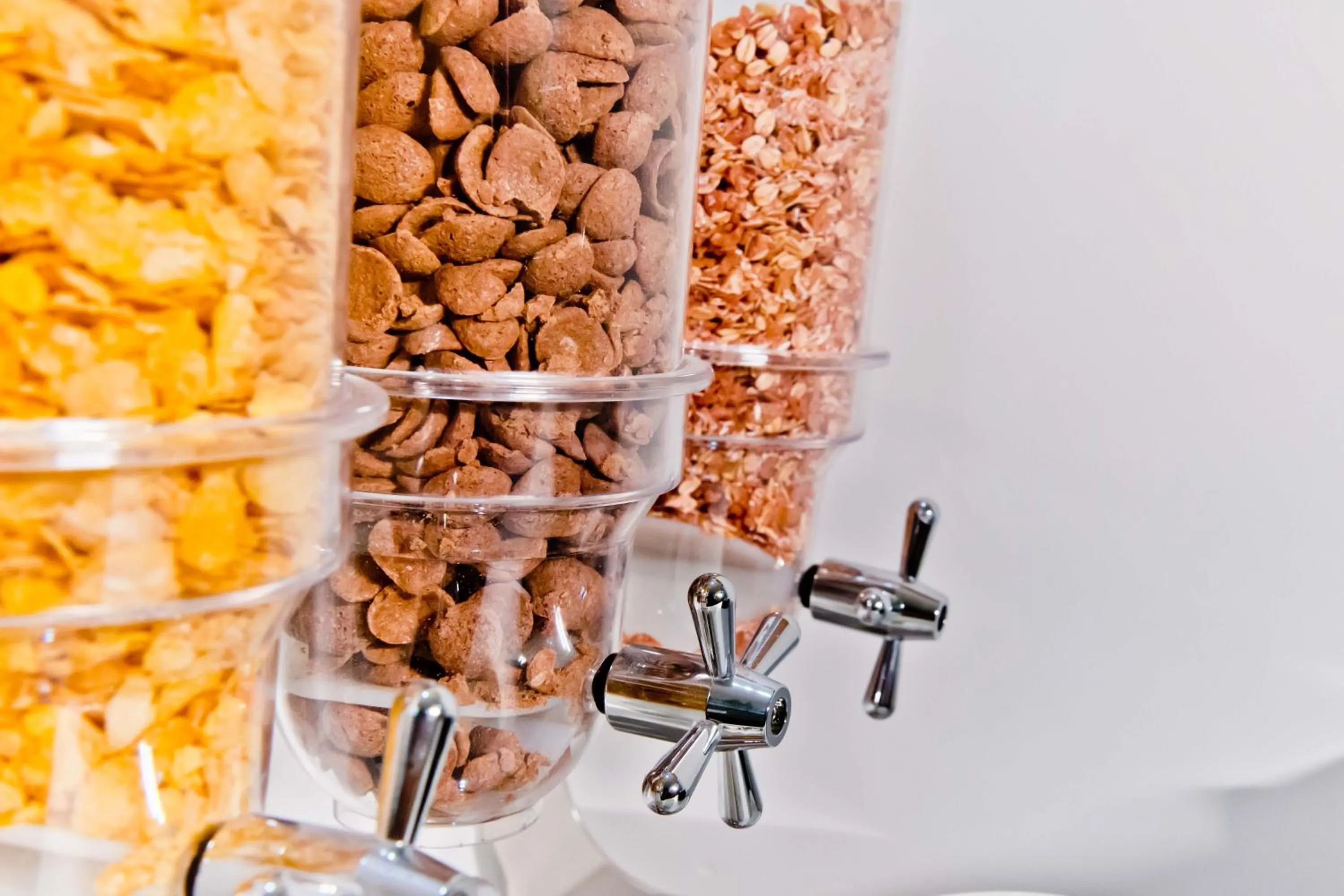 Food in X by Bloom l Manyata