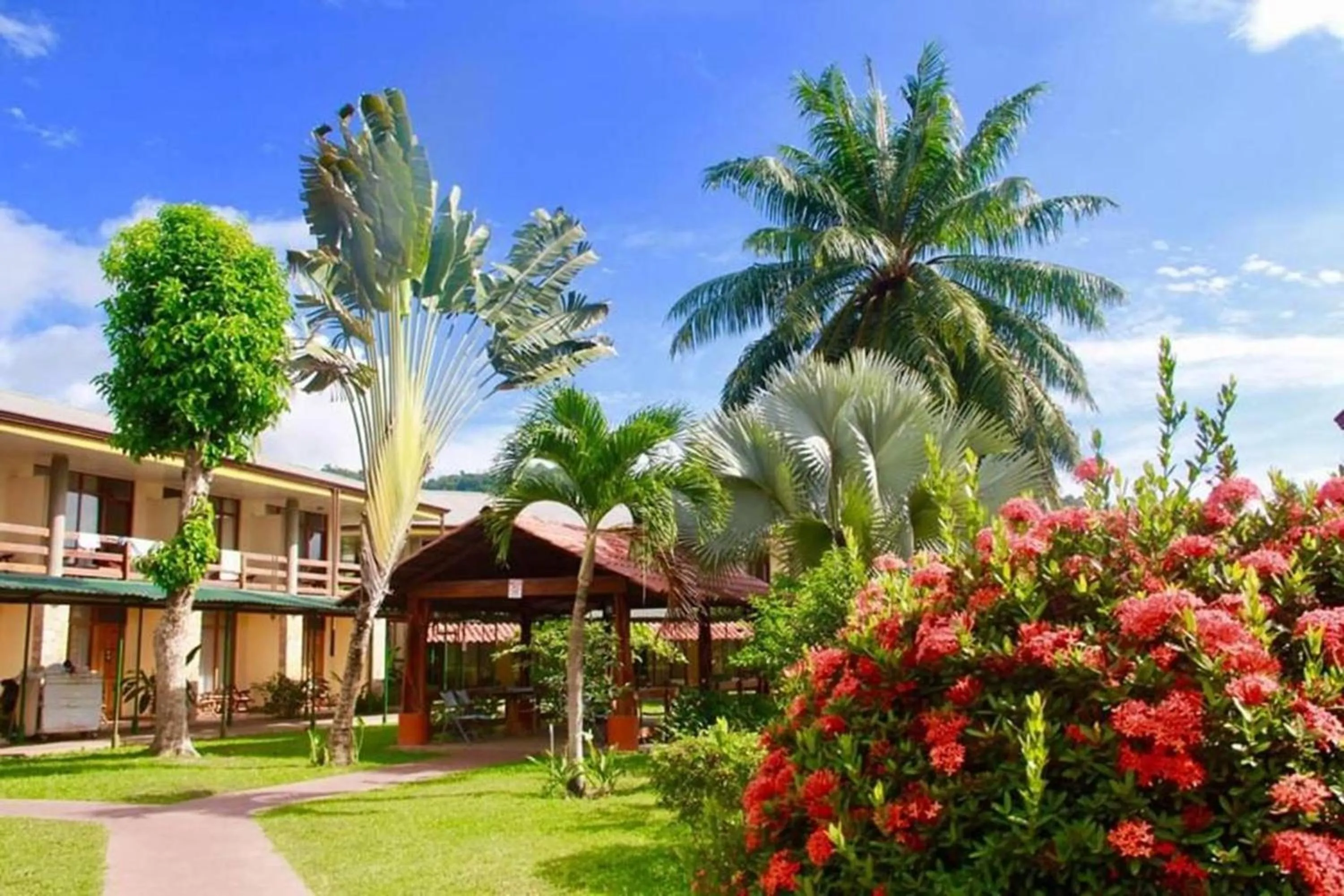 Day in Amapola Resort