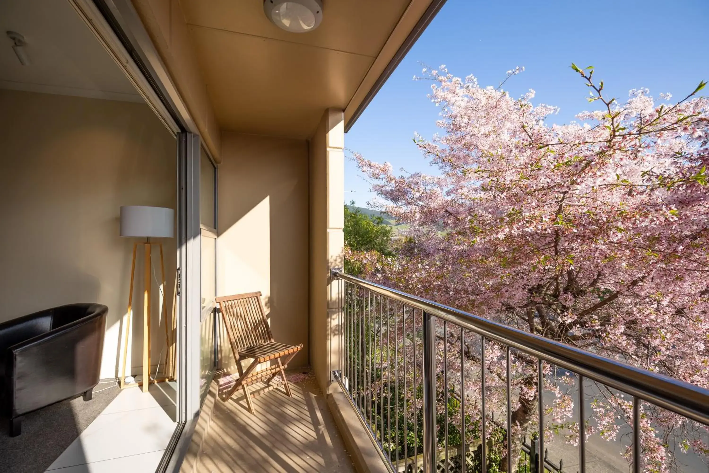 Deluxe King Studio in Saxton Lodge Deluxe King Studio in Saxton Lodge