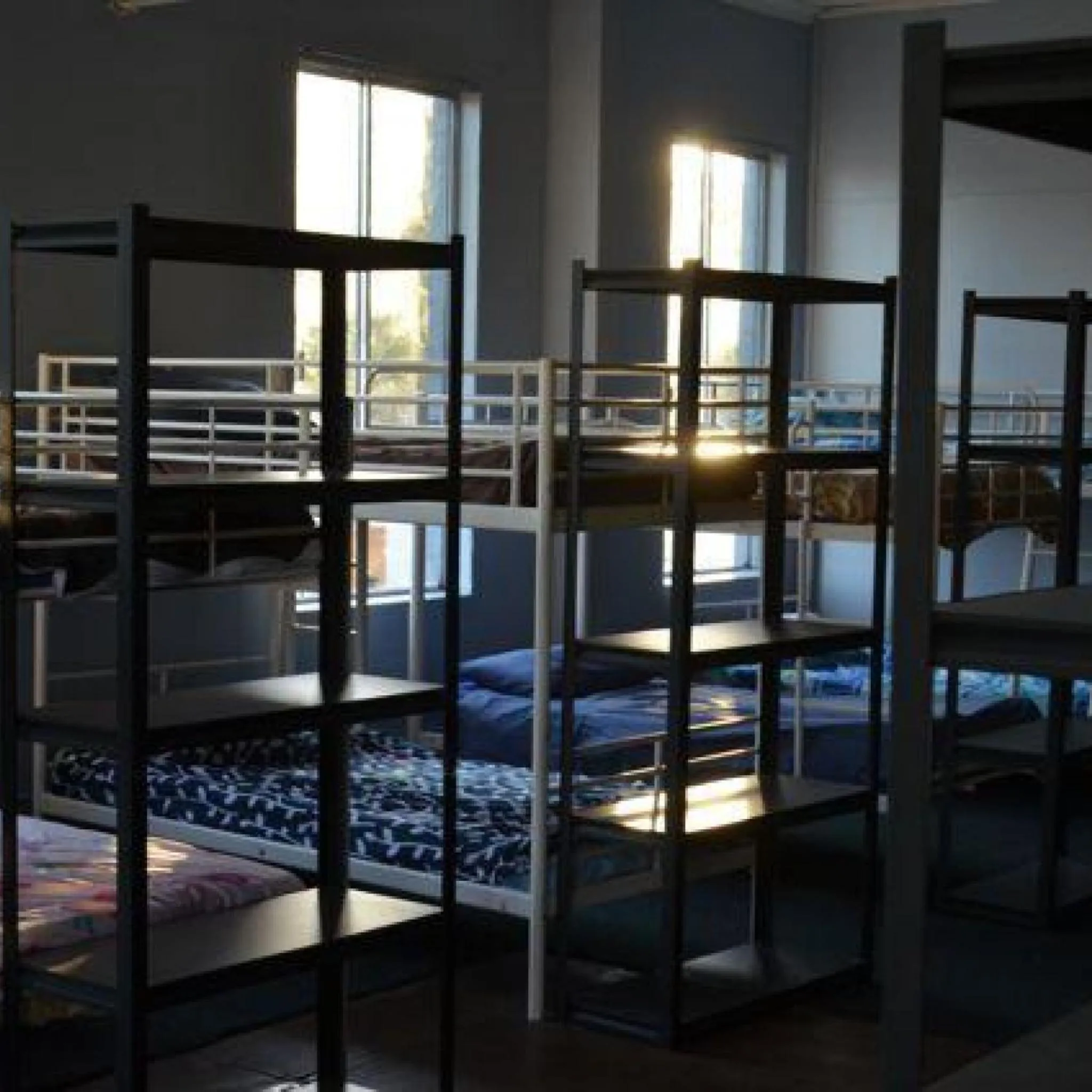 bunk bed, Bed in The Hive Hostel - Traveler Friendly, Passport Only
