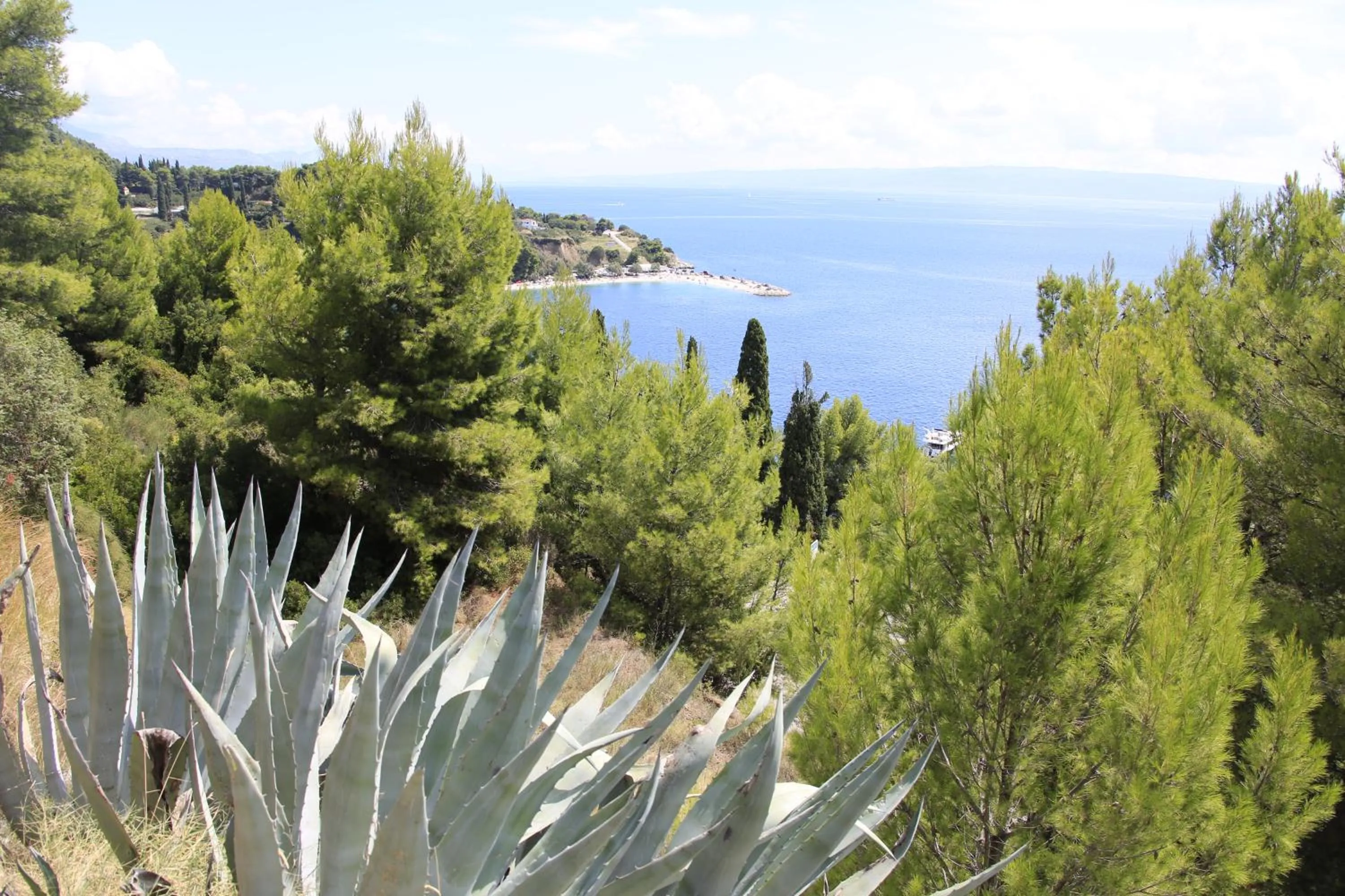 Natural landscape in Hotel Beach Split