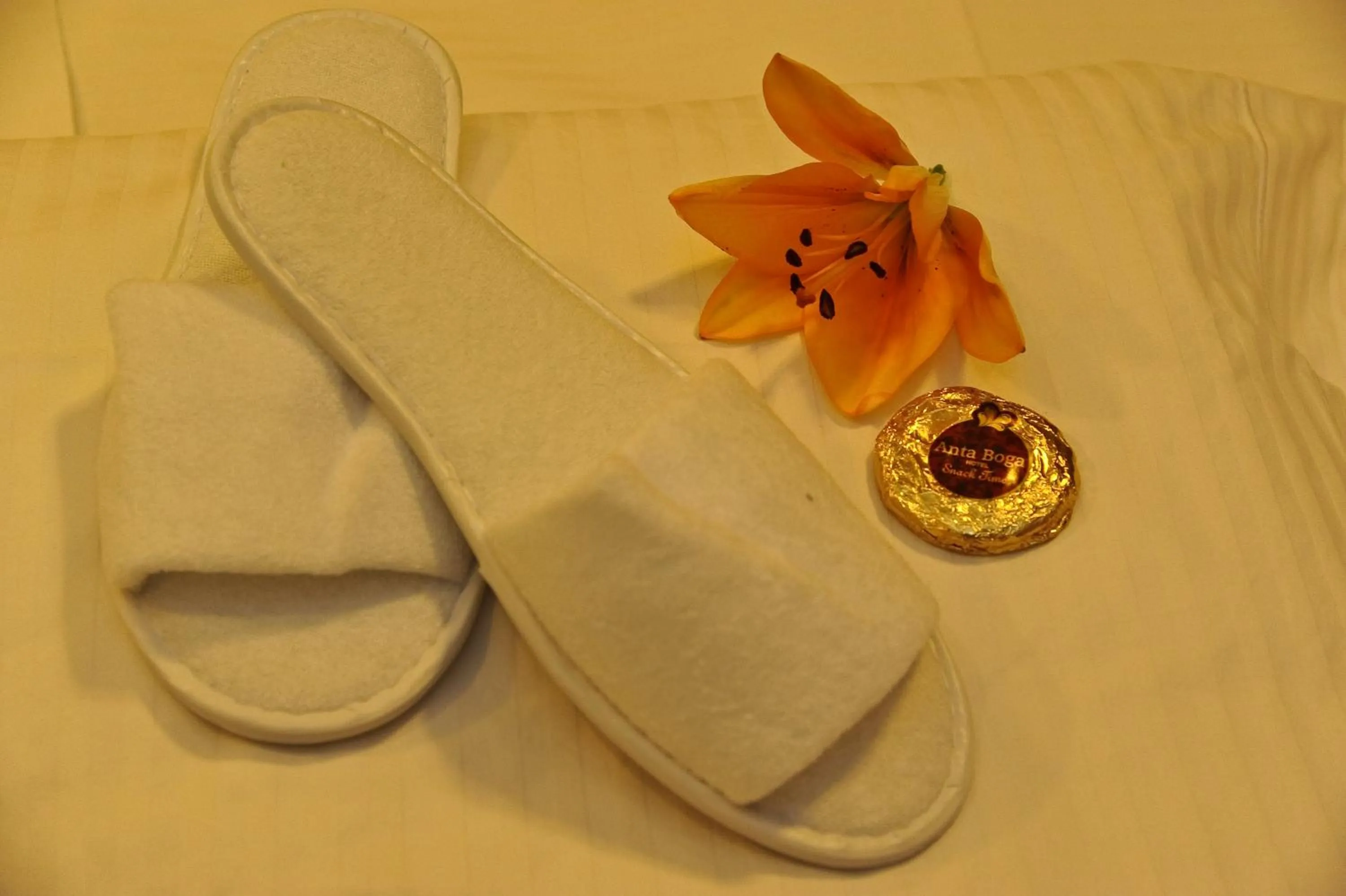 Other in Anta Boga Hotel