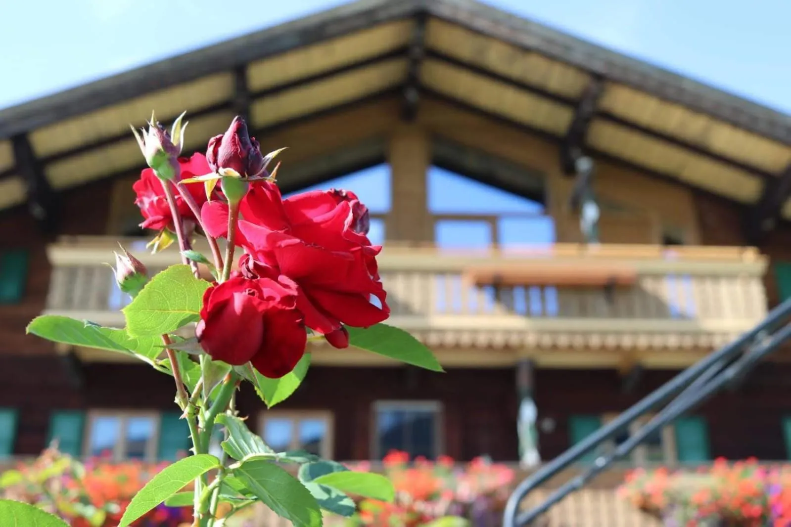 Biobauernhof Jagglhof