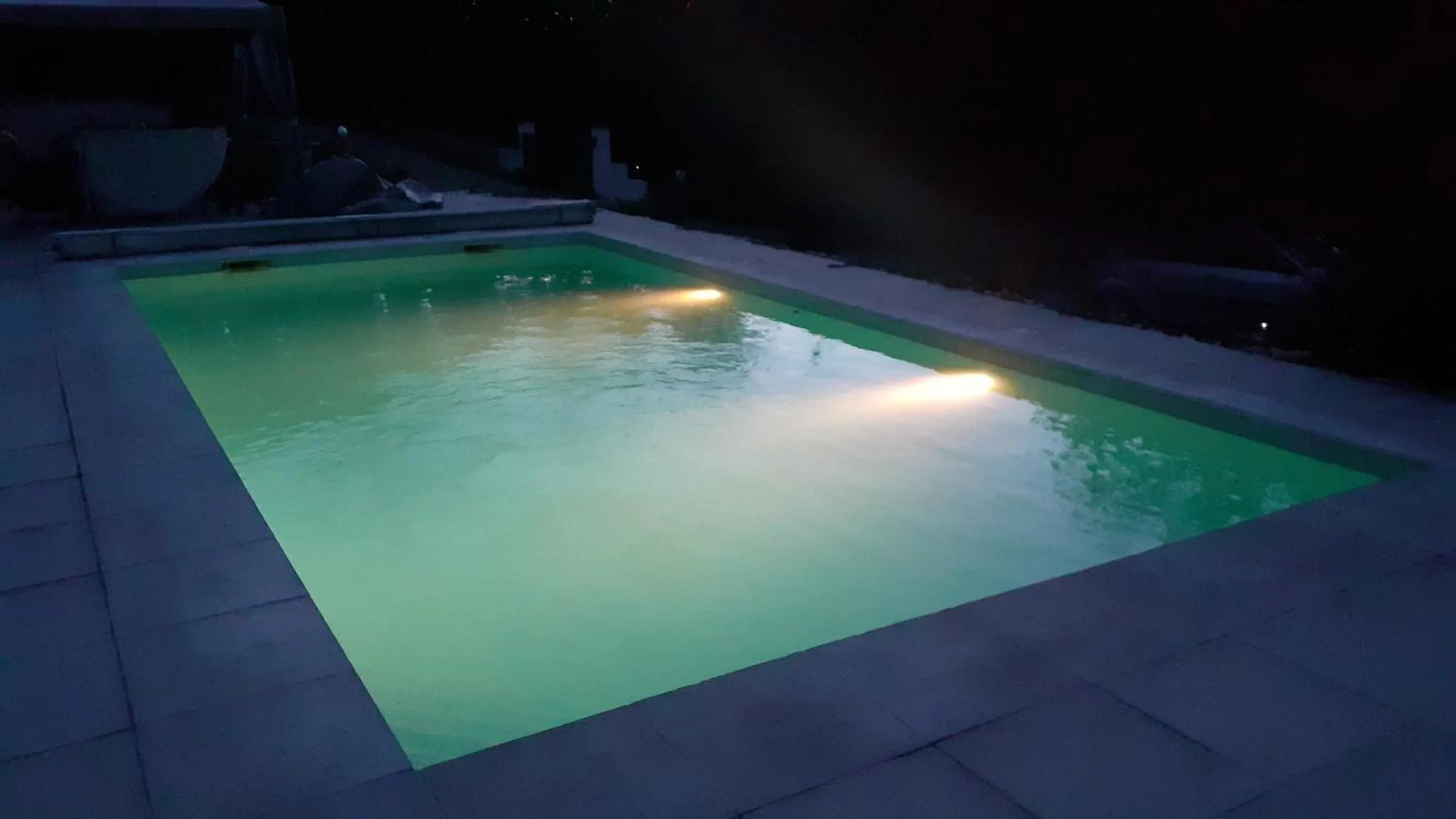 frederique lavande bleue