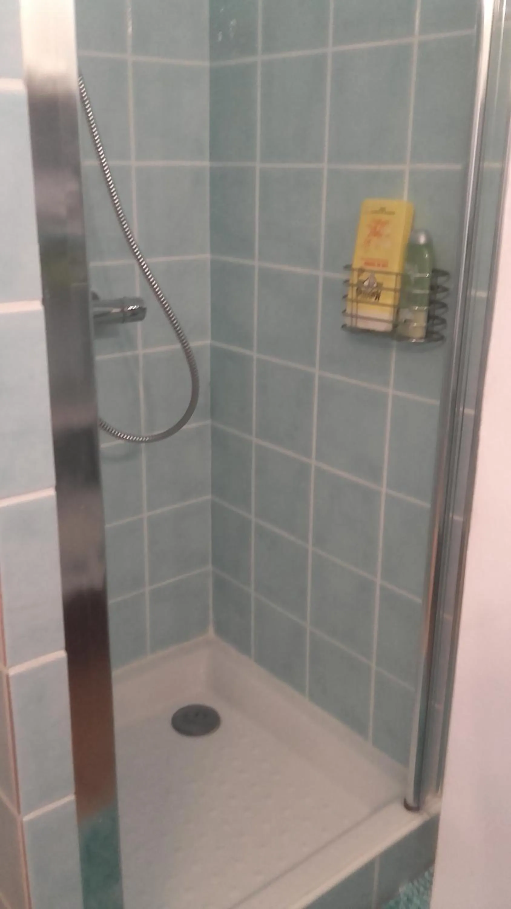 frederique lavande bleue