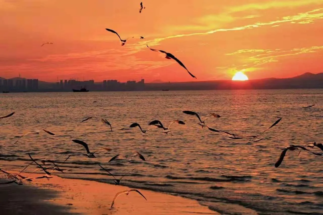 Beach, Sunrise/Sunset in Golden Gulf Hotel Yantai