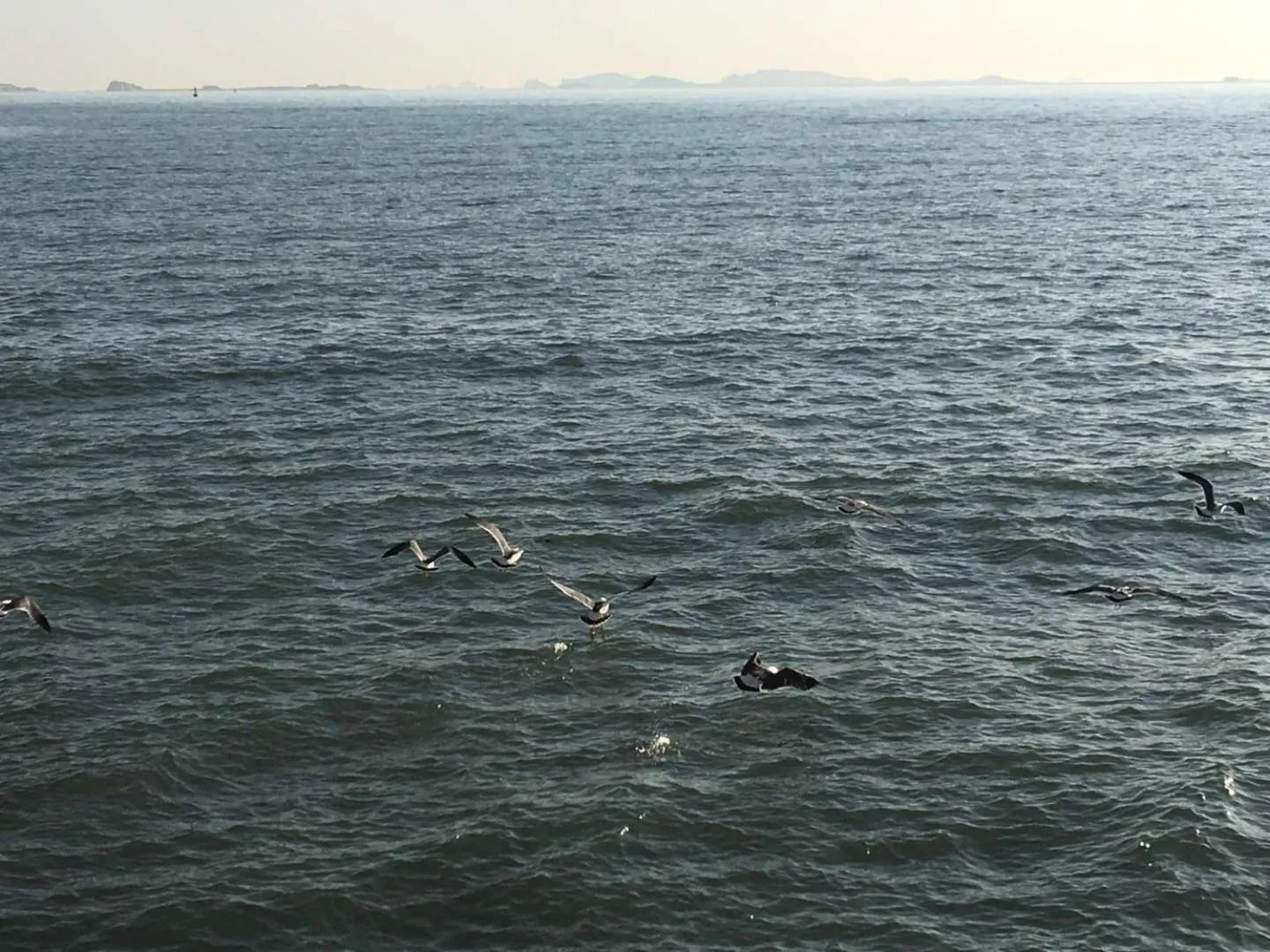 Golden Gulf Hotel Yantai