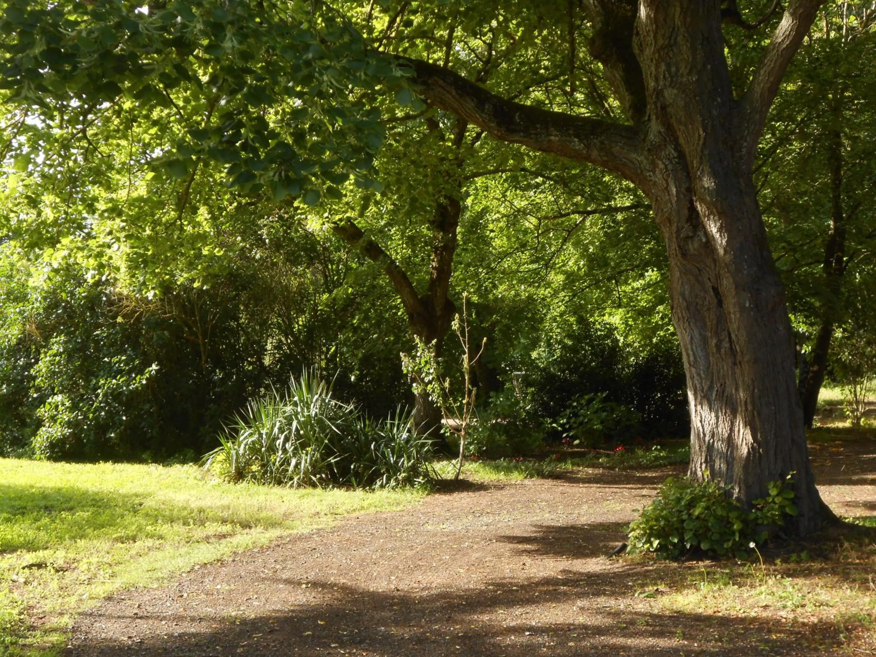 View (from property/room) in Clos du Bois Brard B&B