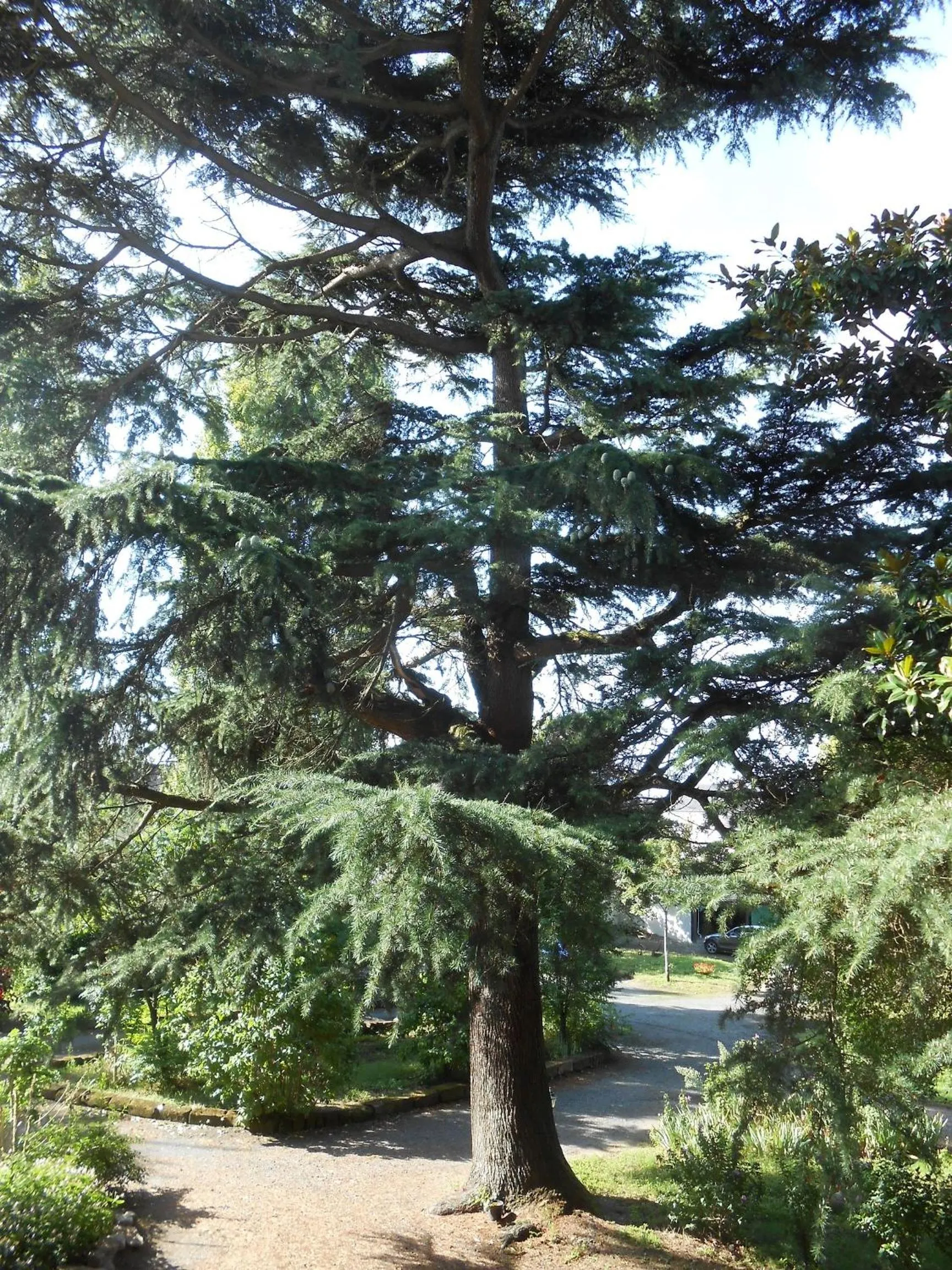 Garden in Clos du Bois Brard B&B