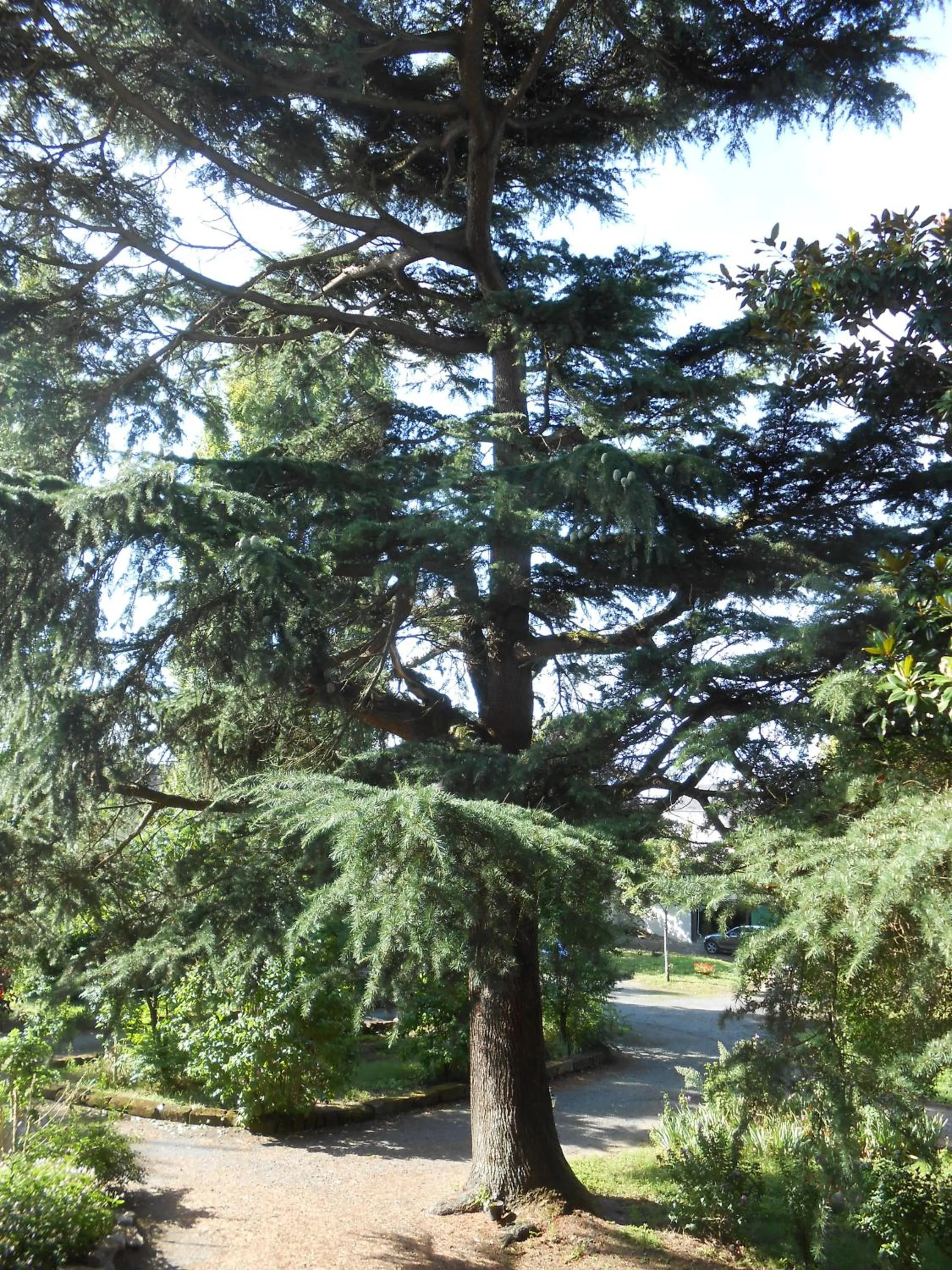 Garden in Clos du Bois Brard B&B